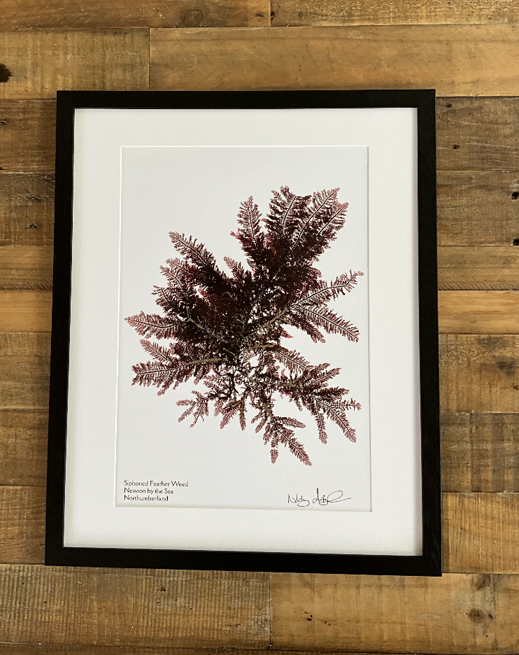 Screenshot 2025-04-22 at 19.03.12.png