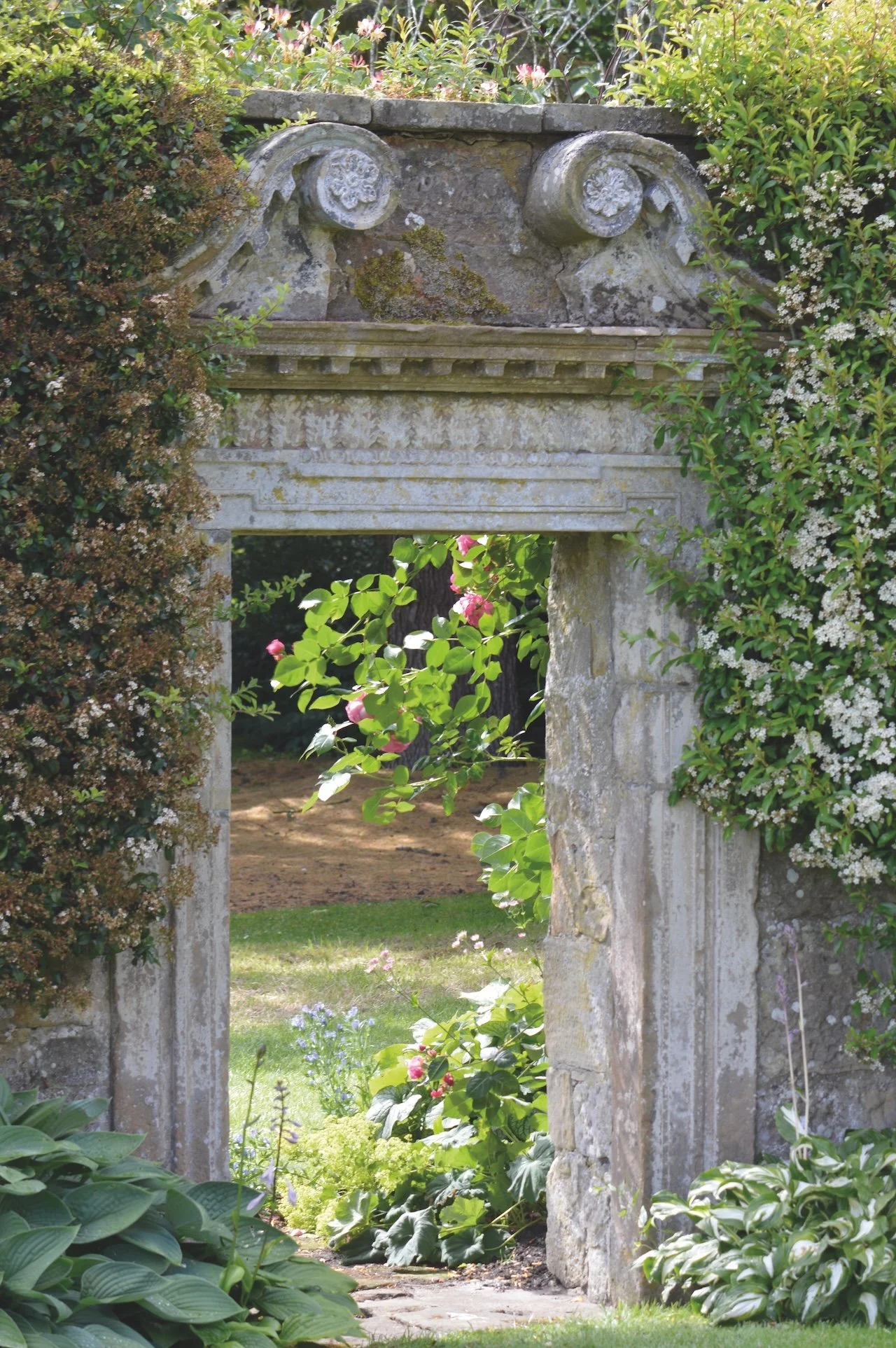 Romantic rose covered arch at Capheaton Hall.JPG