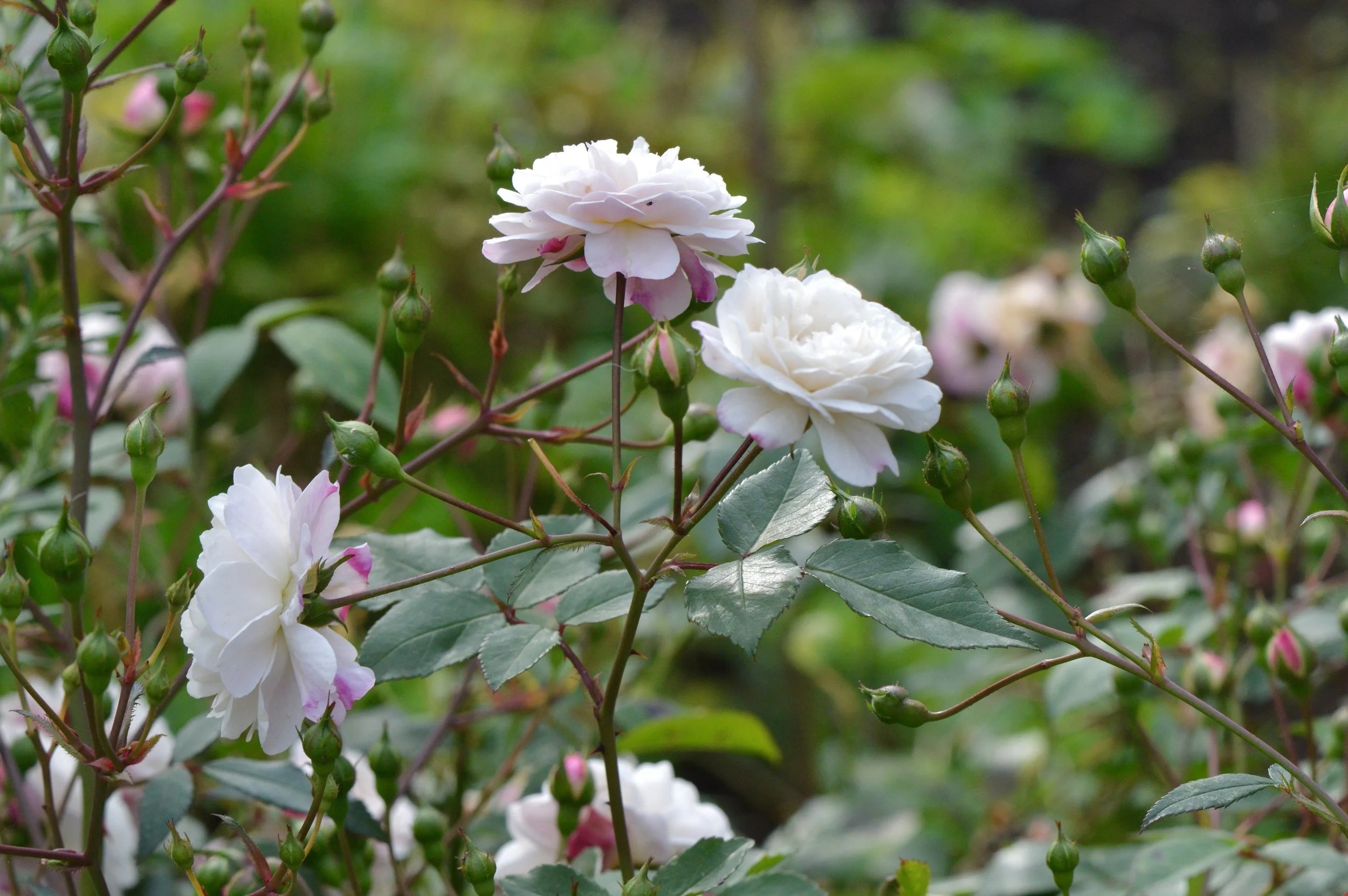 It takes a village...