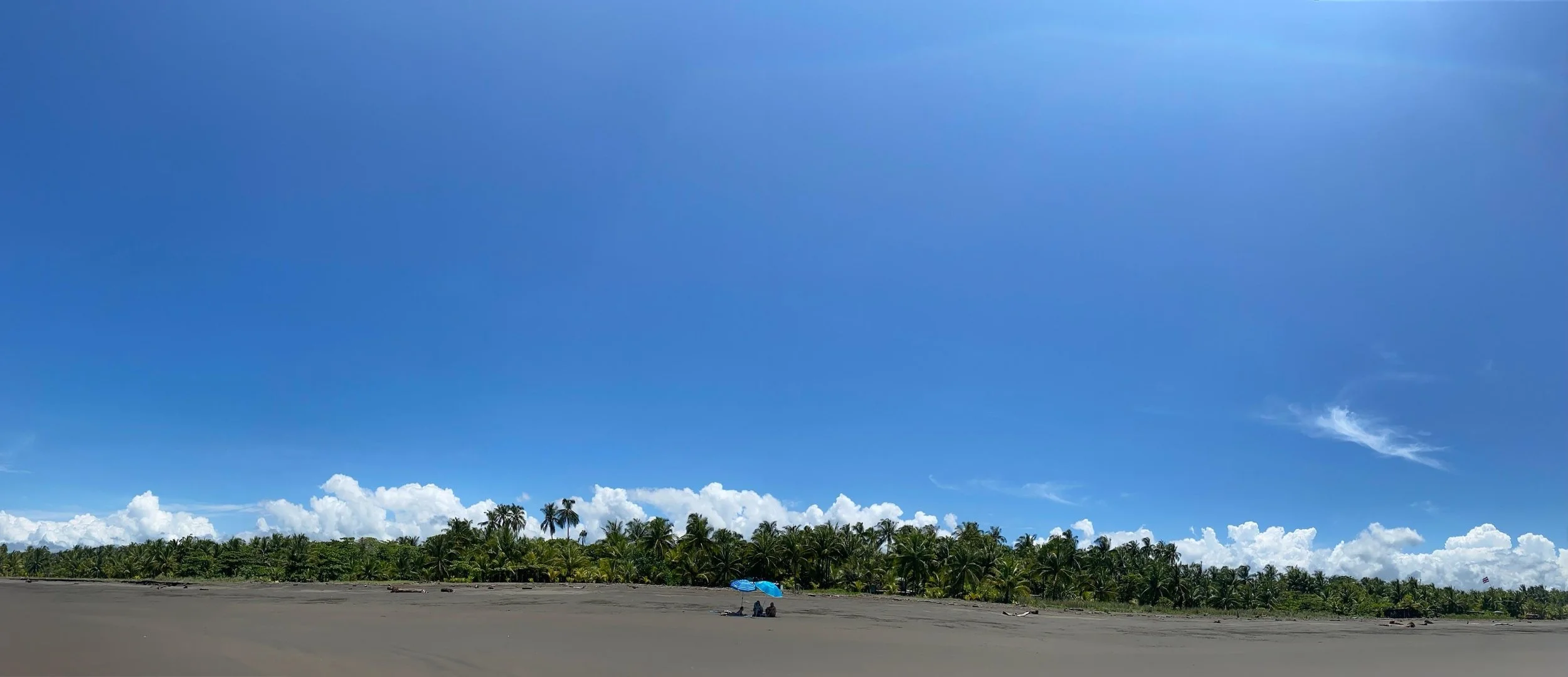 A beach scene with a clear blue sky, a line of palm trees, two people sitting under a blue umbrella on the sand, and some clouds in the distance.