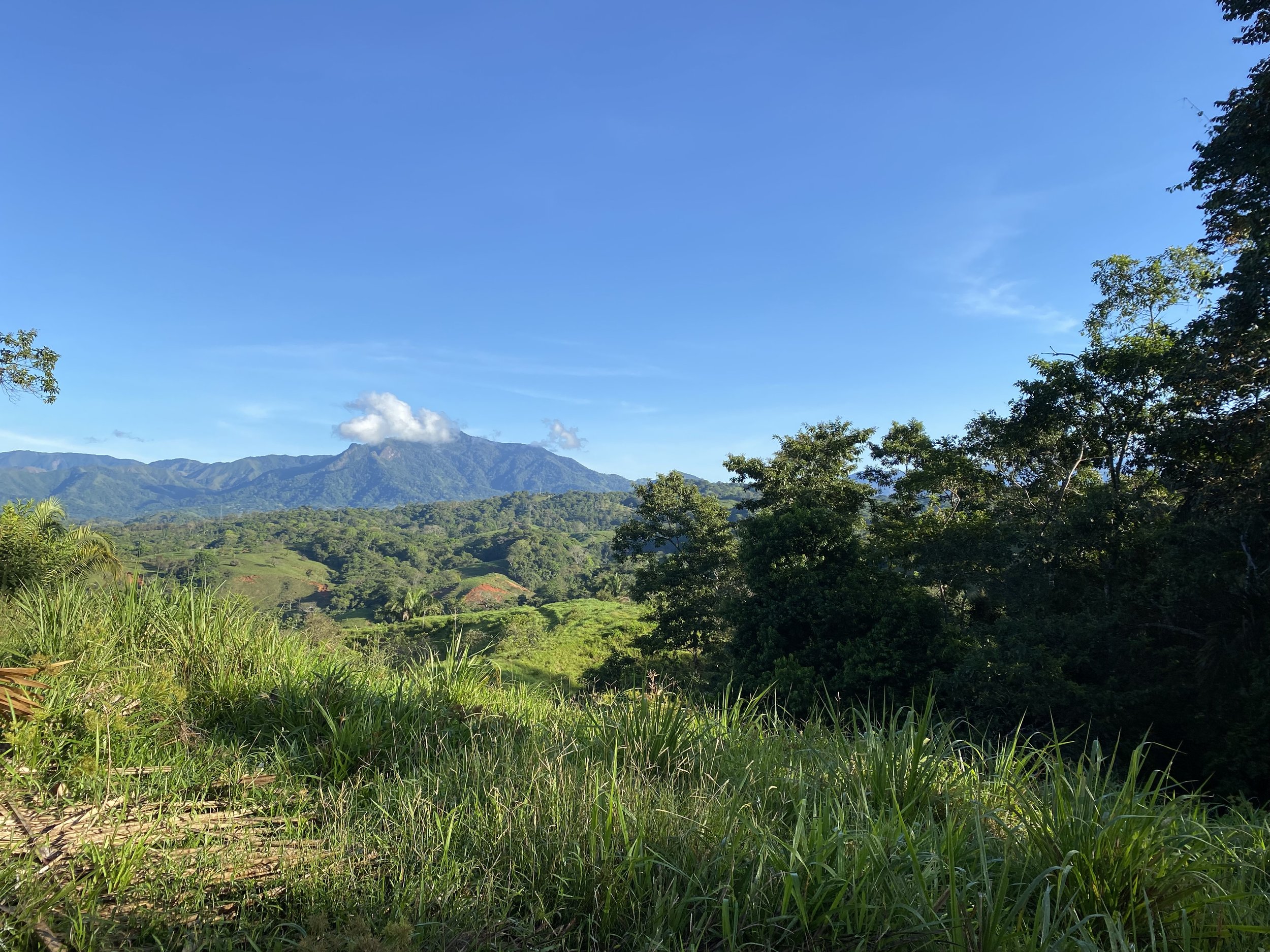Landscape with green grass, trees, and a mountain range under a blue sky with a few white clouds.
