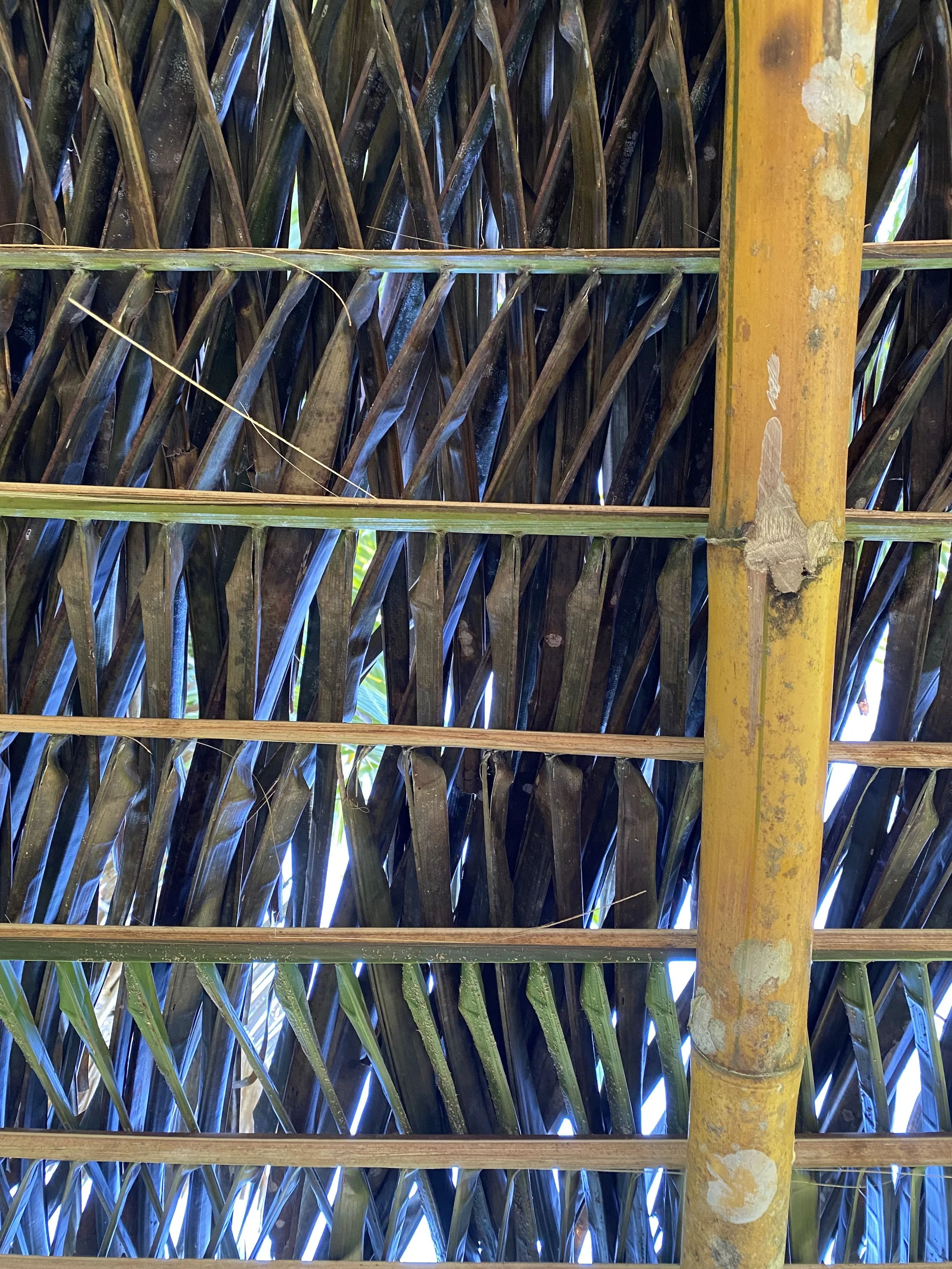 Big Potential, Small Investment: The Hidden Value of Parrita’s Land