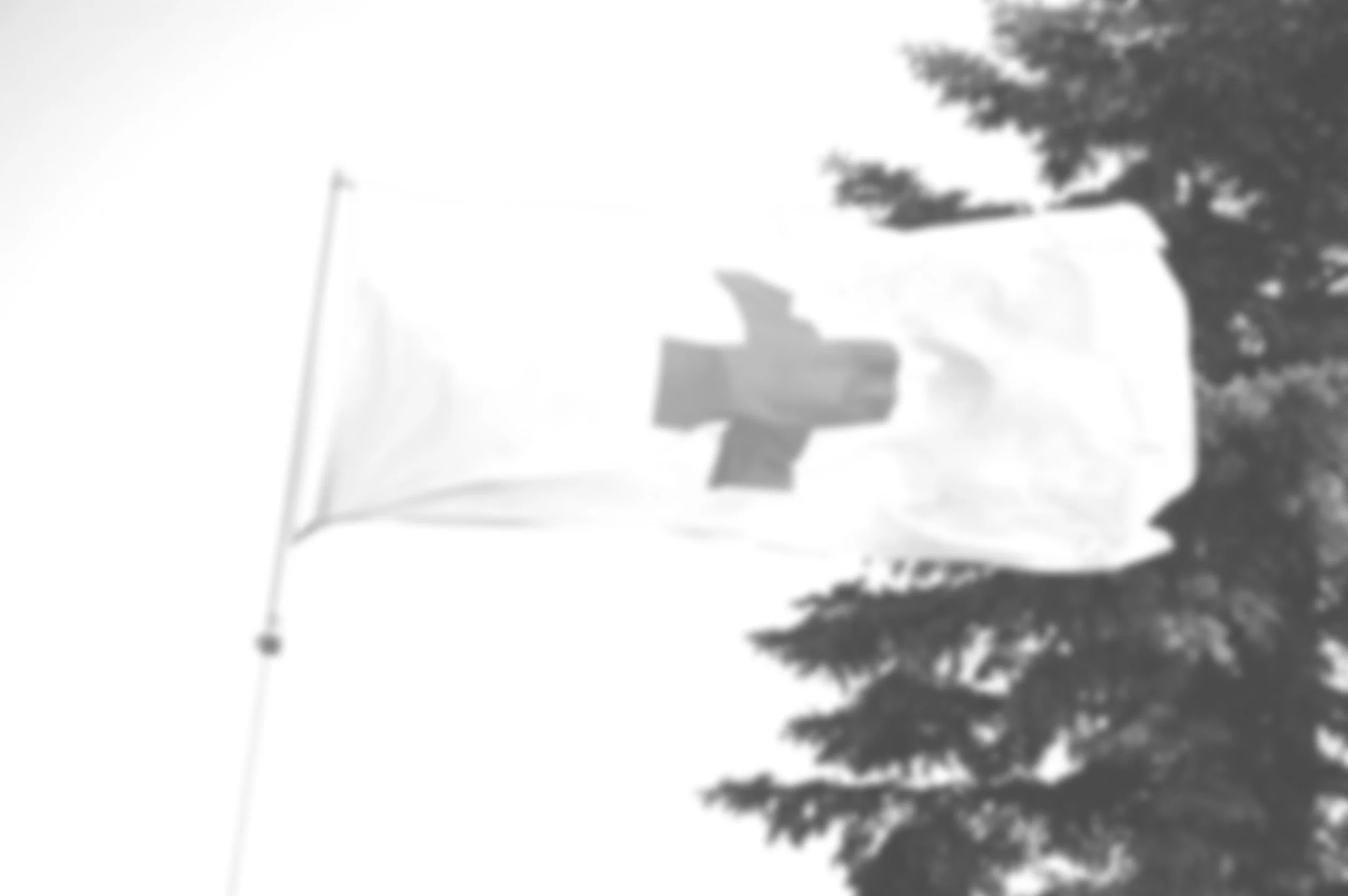 Blurry image of a flag with a red cross, possibly Red Cross symbol, and trees in the background.
