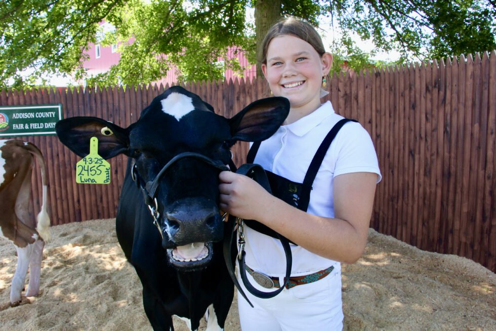 Smiling-cow-Sophia-Roleau-12-of-Bristol-with-Luna-980x653.jpg