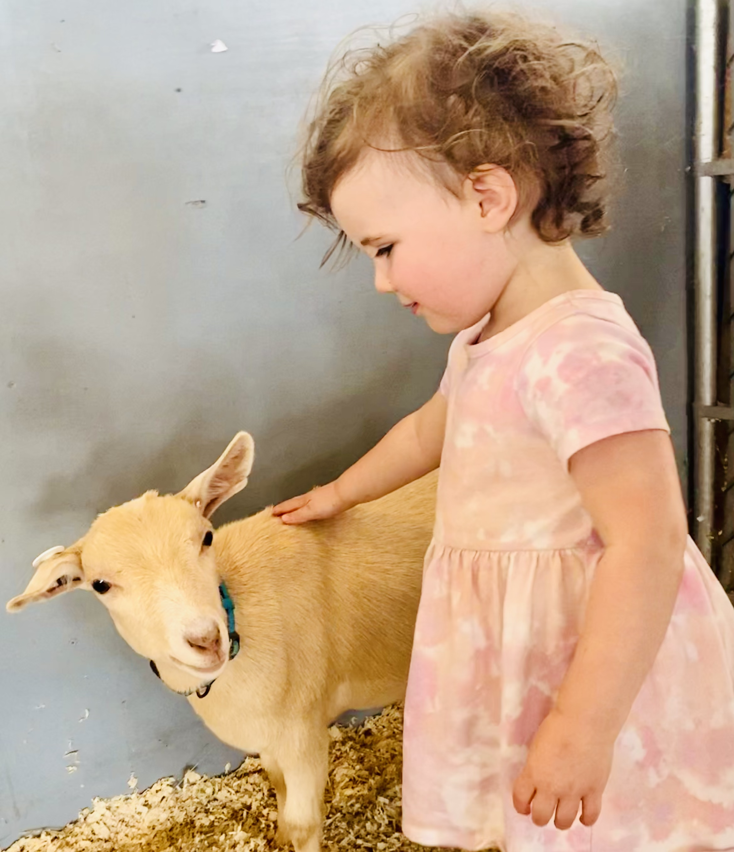 R+and+goat.png
