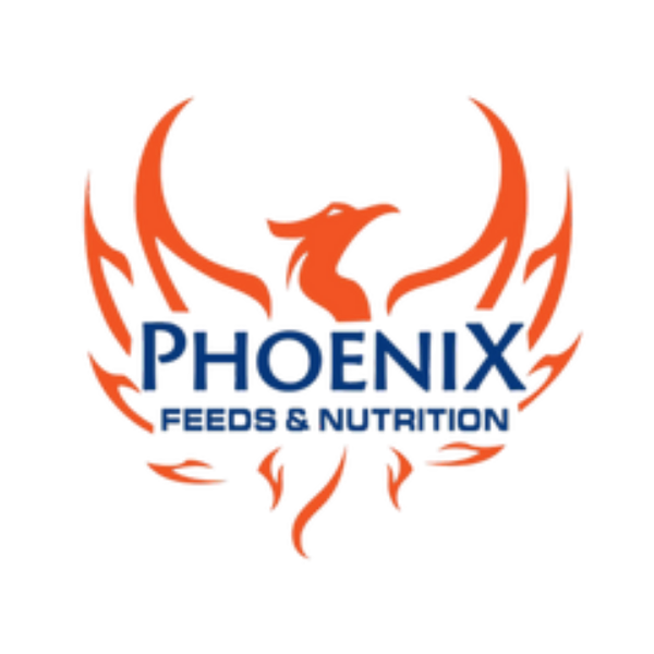 Phoenix.png