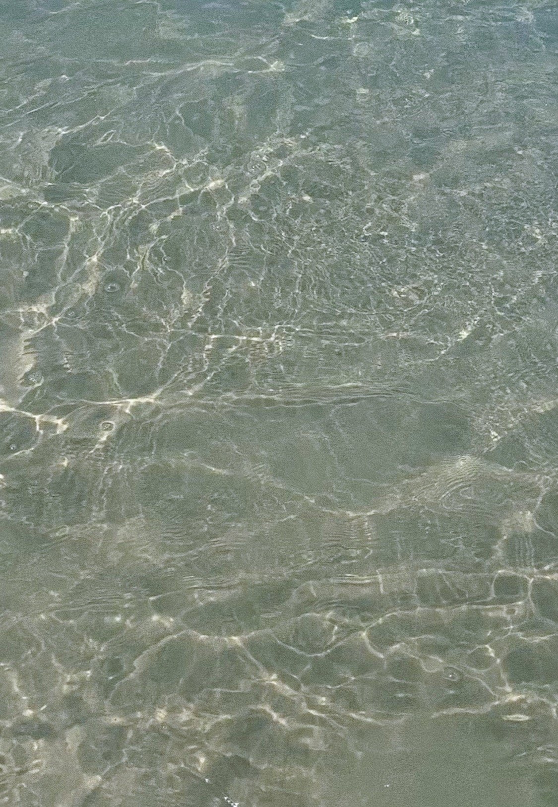 2E53EE72-470A-4D05-8A8F-D71ED125AE07.jpeg