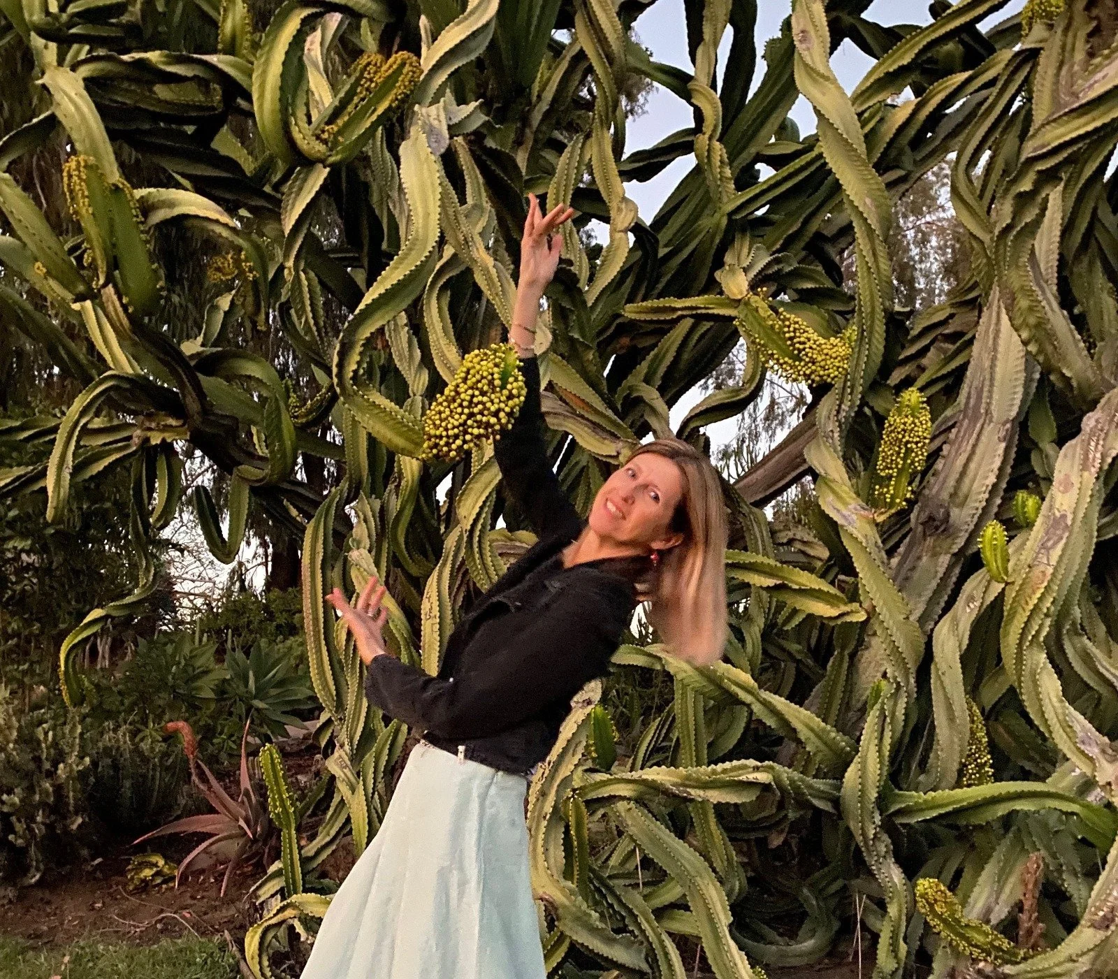 Person posing joyfully among large green cacti with long, twisting stems and yellow flowers. Sherry