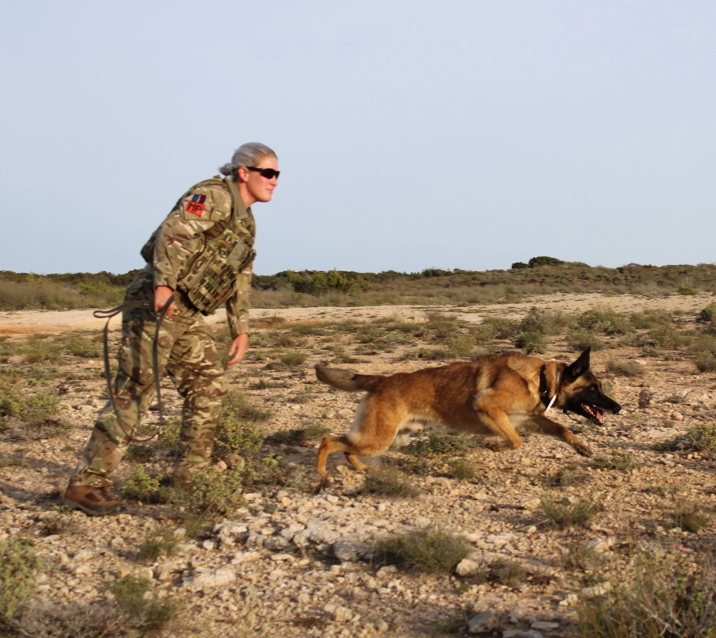 Happy International Dog Day from me and some international dogs. 

#MWD #internationaldogday