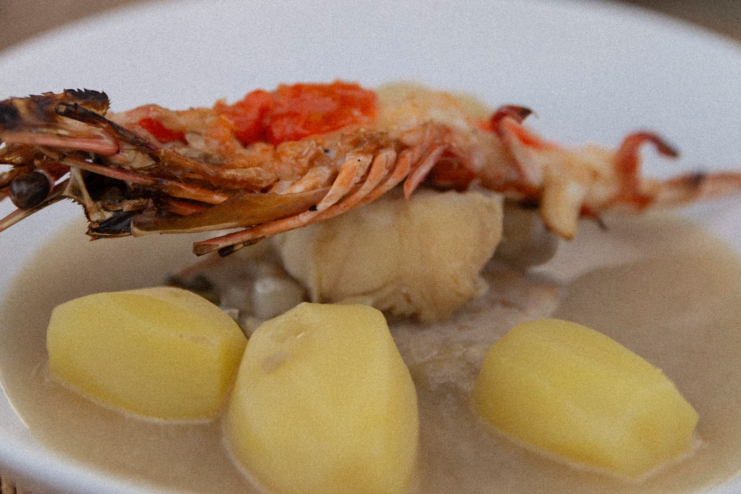 Gedünsteter Hummer auf einem weißen Teller, serviert mit Kartoffeln und einer Tomatensauce.