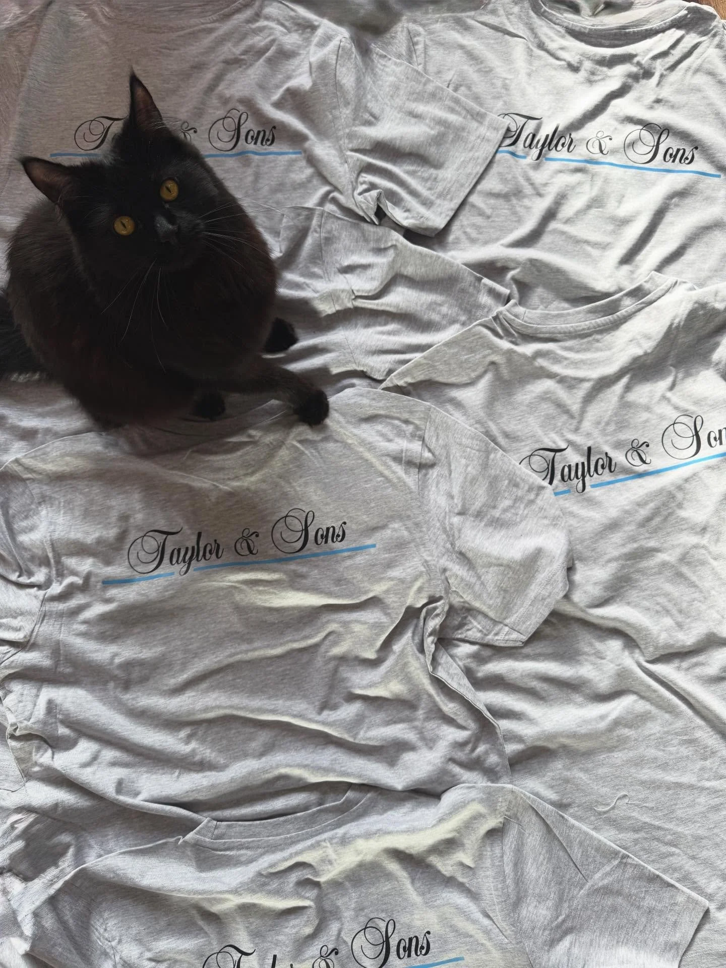 Work attire #interiordesign #paintinganddecorating #cat