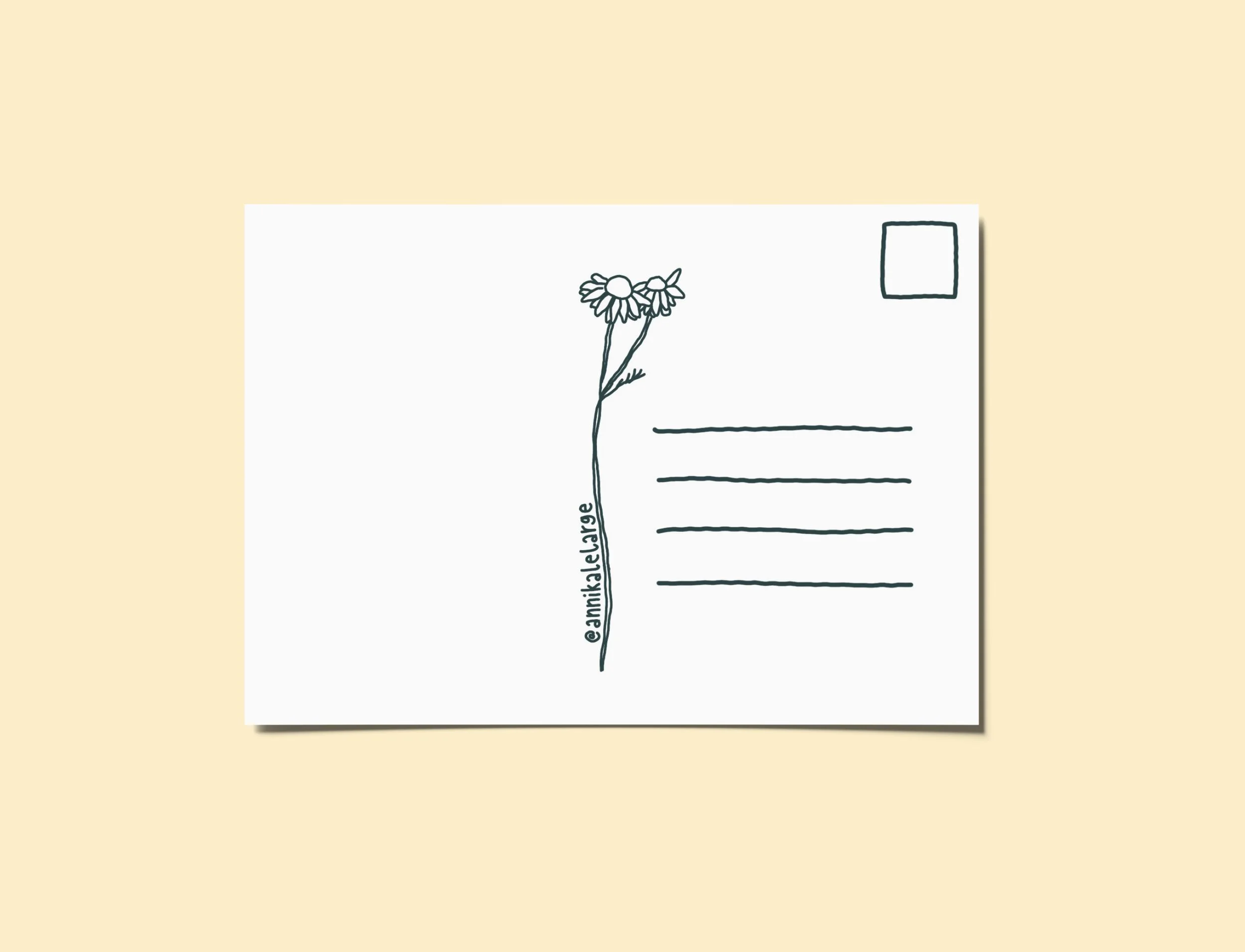 Rückseite gelb.jpg