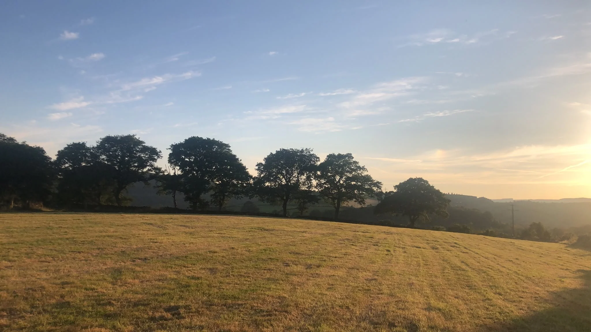 A scenic landscape of a grassy field with a line of trees in the distance under a partly cloudy sky at sunrise or sunset.