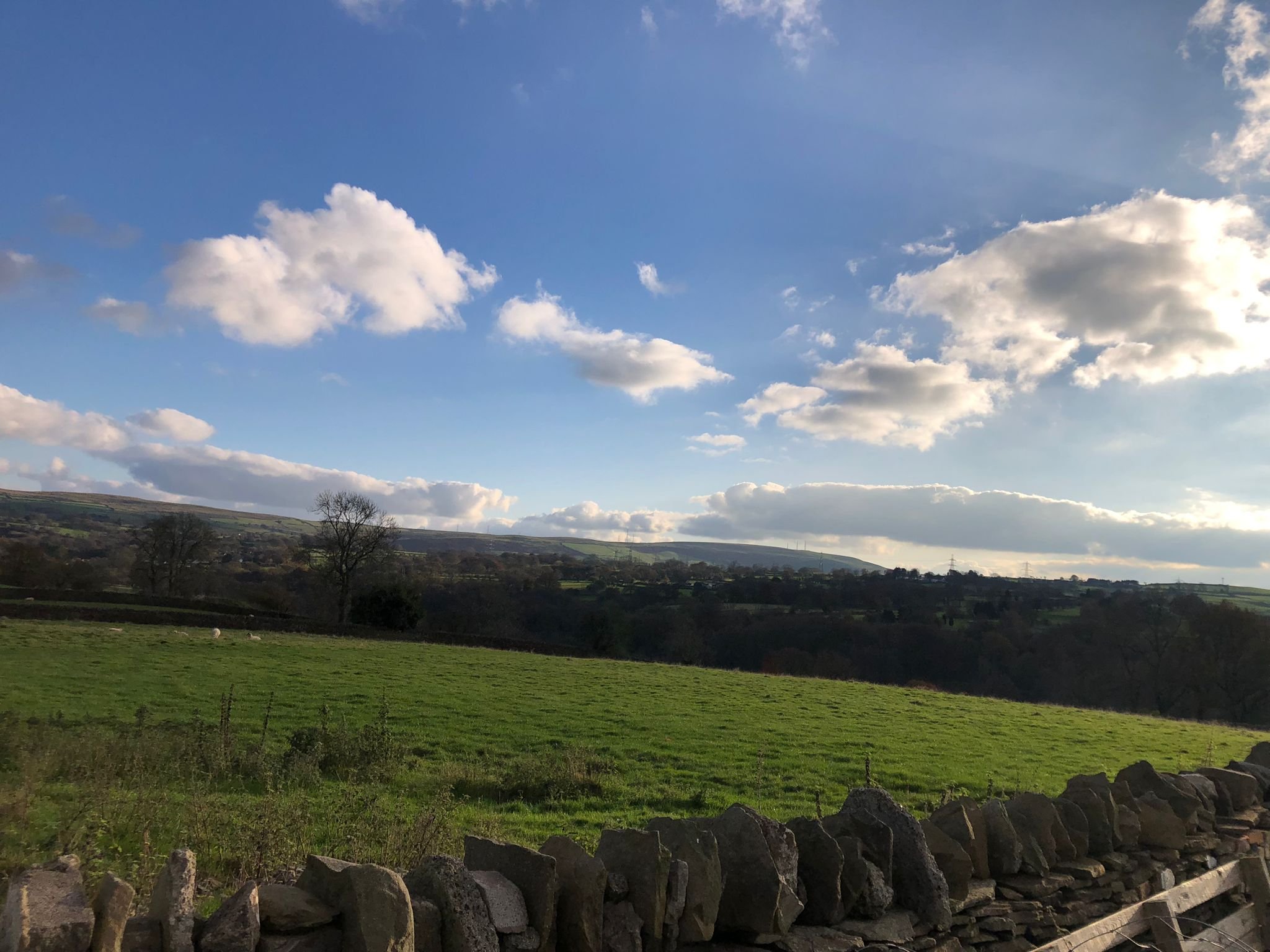 Scenic view of rolling green fields with a stone wall in the foreground, scattered trees, and distant hills under a partly cloudy blue sky.