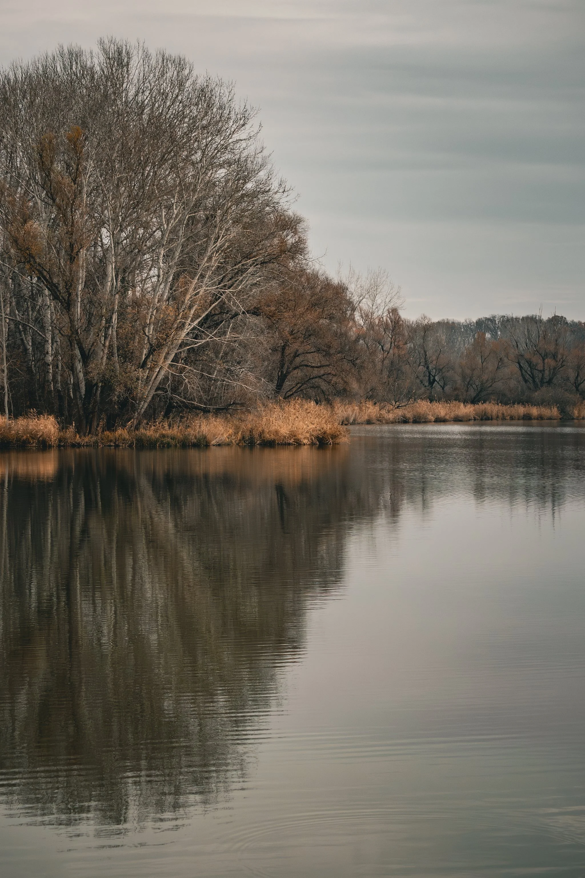 PB300248 (1)_Original.jpeg