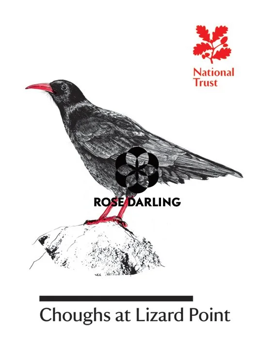 rose darling illustration national trust chough t-towel copy.jpg