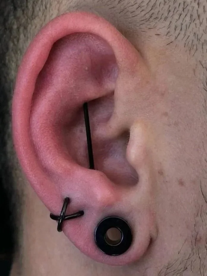 Close-up of a person's ear with multiple piercings, including a black circular gauge in the earlobe, a cross-shaped barbell in the lower cartilage, and a black barbell in the upper cartilage.