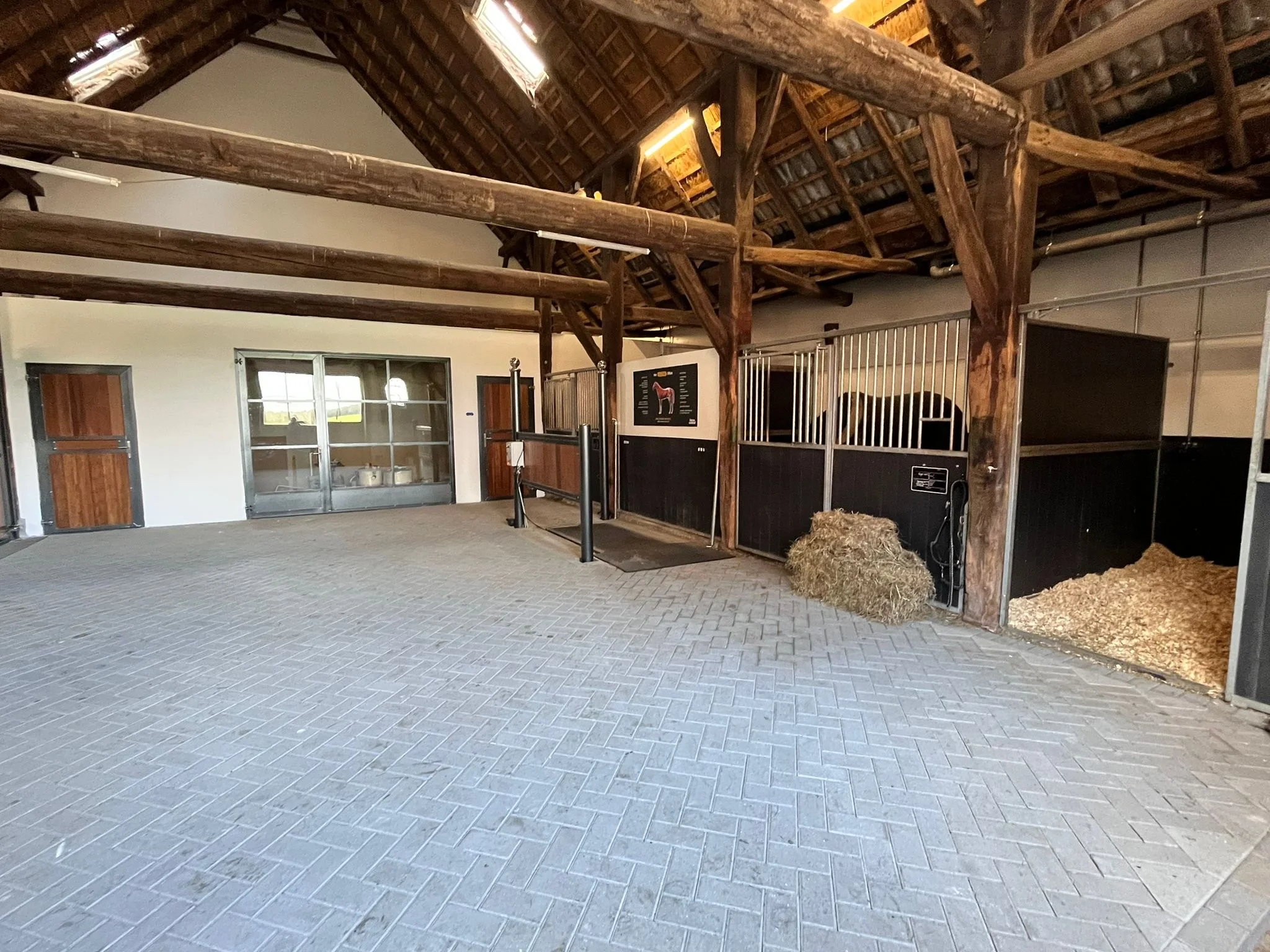 Whole body vibration revalidatie Vitafloor VM1 VM2 VM3 stalmodel vrijstaand trillingstherapie Horse Control trilplaat paardentrilplaat
