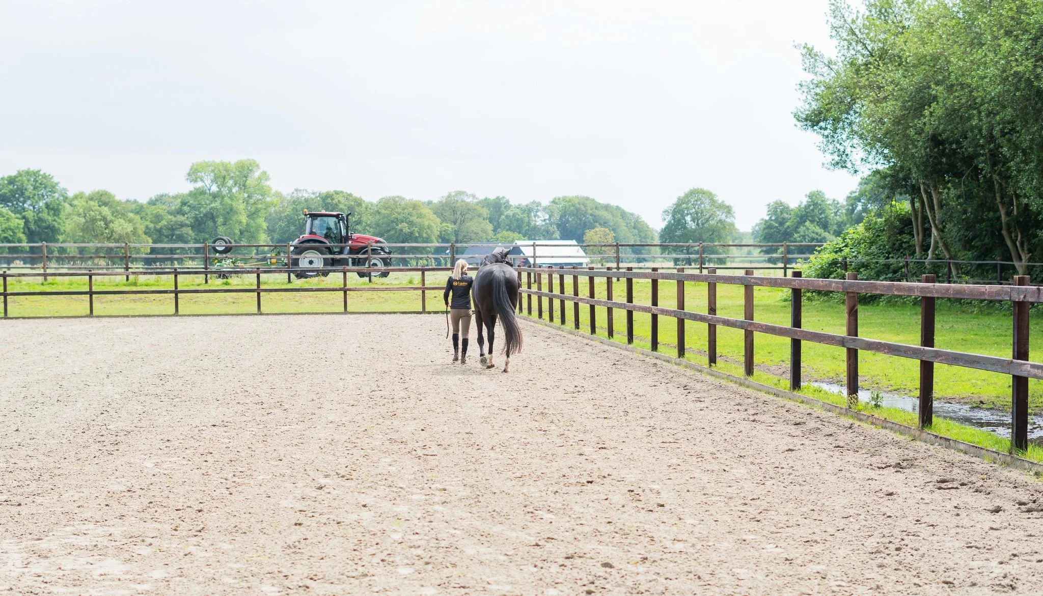 Whole body vibration revalidatie Vitafloor VM1 VM2 VM3 stalmodel vrijstaand trillingstherapie Horse Control