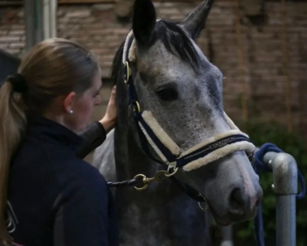Een vrouw met haar paard.