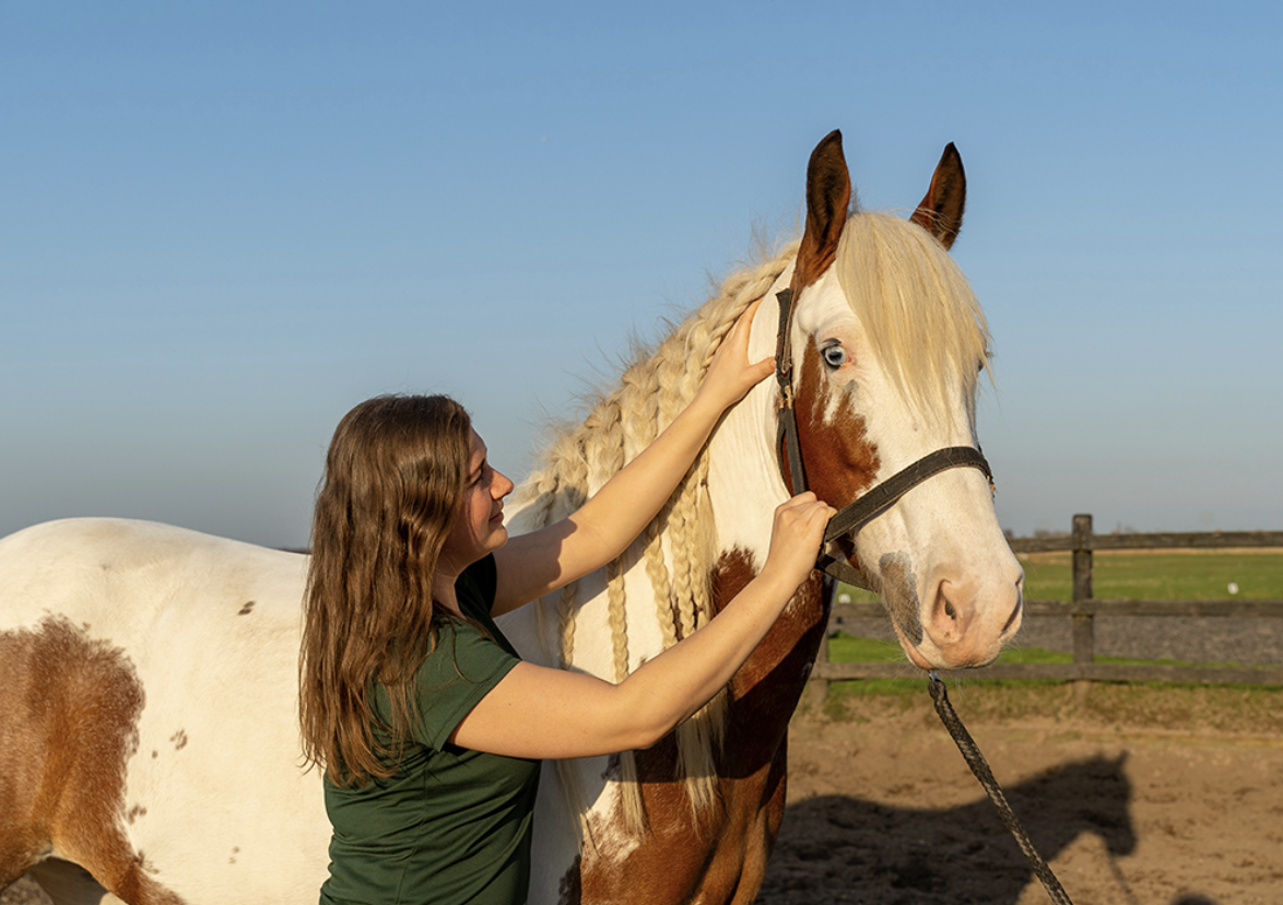 A woman with long wavy brown hair wearing a green shirt petting a large white horse with brown markings, braided mane, and a hay-colored tail in an outdoor riding area on a sunny day.