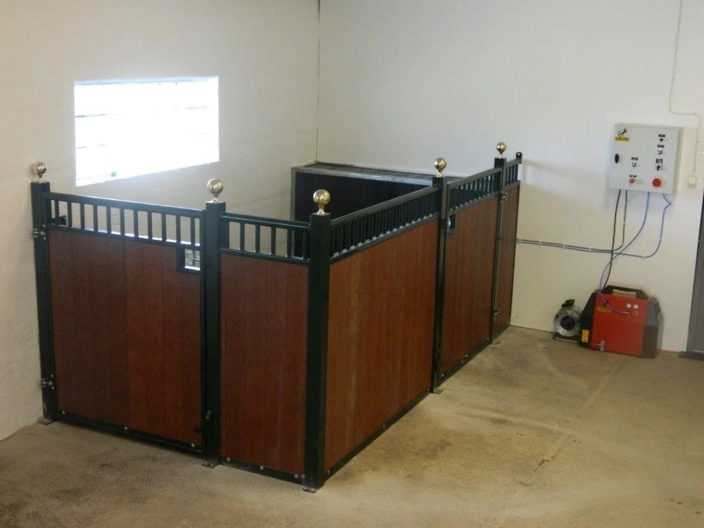 vitafloor-vibrational-platform-model-vm1-1.jpg