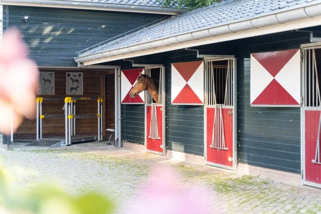 Whole body vibration revalidatie Vitafloor VM1 VM2 VM3 stalmodel vrijstaand trillingstherapie Horse Control trilplaat paardentrilplaat