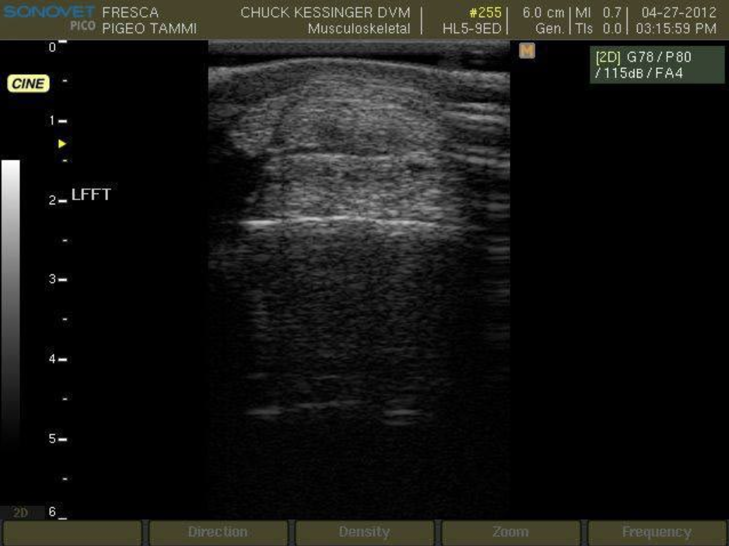 Whole body vibration revalidatie Vitafloor VM1 VM2 VM3 stalmodel vrijstaand trillingstherapie onderzoek Horse Control