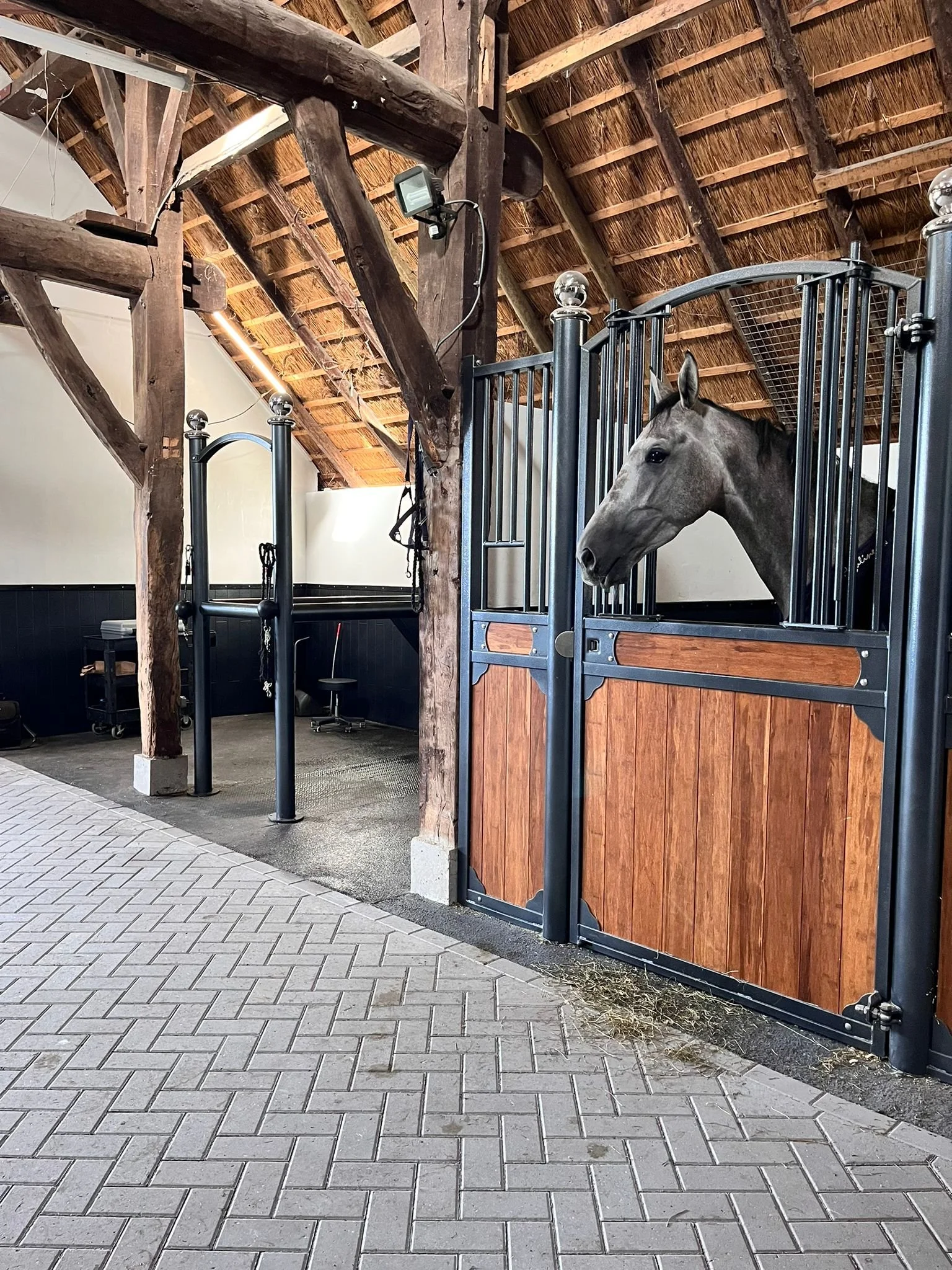Whole body vibration revalidatie Vitafloor VM1 VM2 VM3 stalmodel vrijstaand trillingstherapie Horse Control