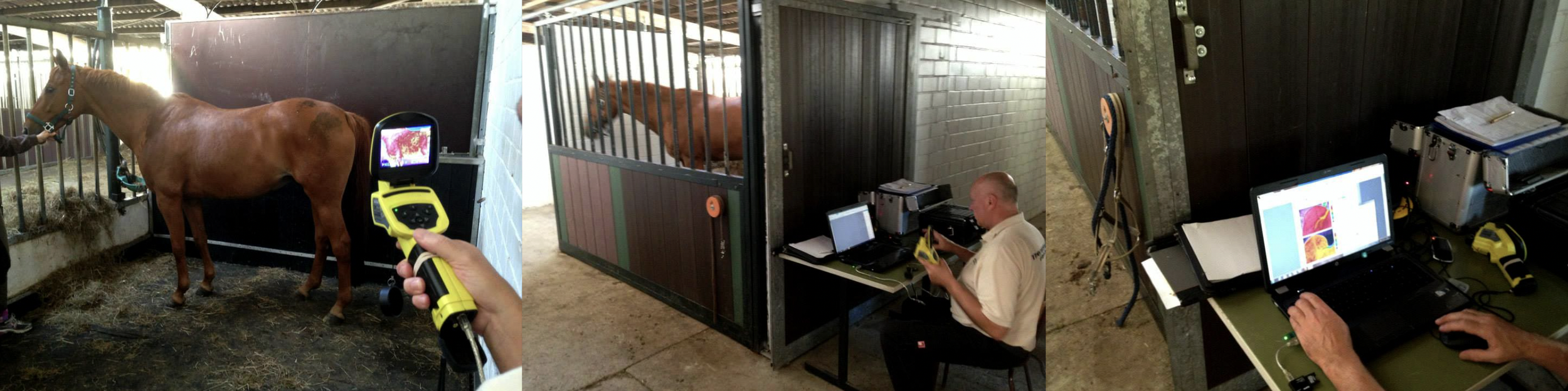 Whole body vibration revalidatie Vitafloor VM1 VM2 VM3 stalmodel vrijstaand trillingstherapie onderzoek Horse Control
