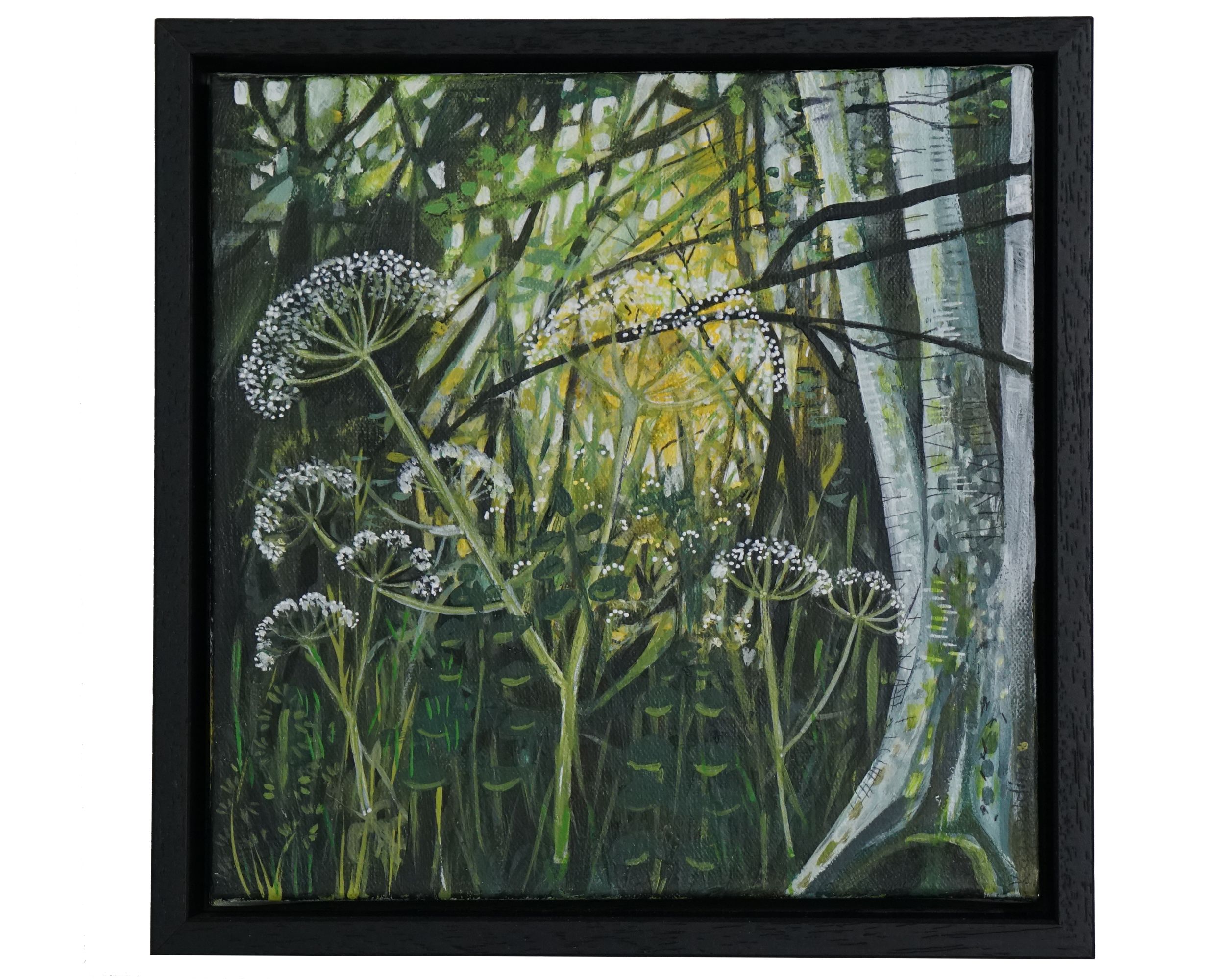 Small flowers in woods.png