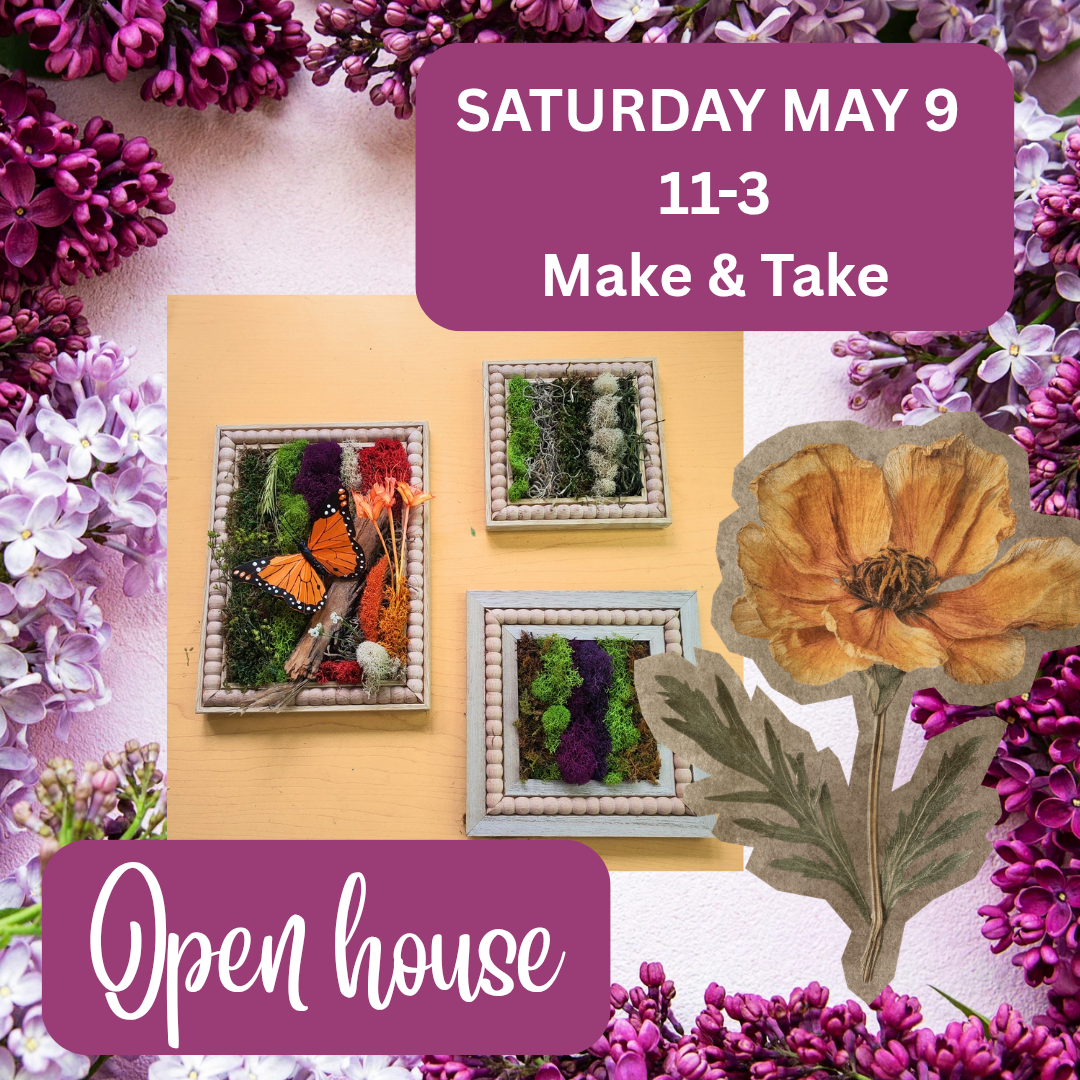 Open House Birthday Celebration