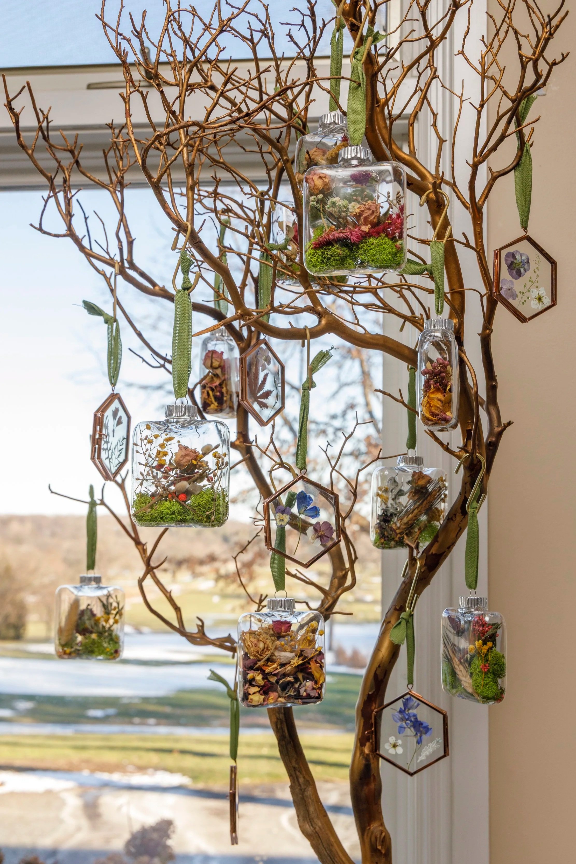 A mountain landscape with snow-capped peaks in the background and a modern wooden building on green rolling hills in the foreground.