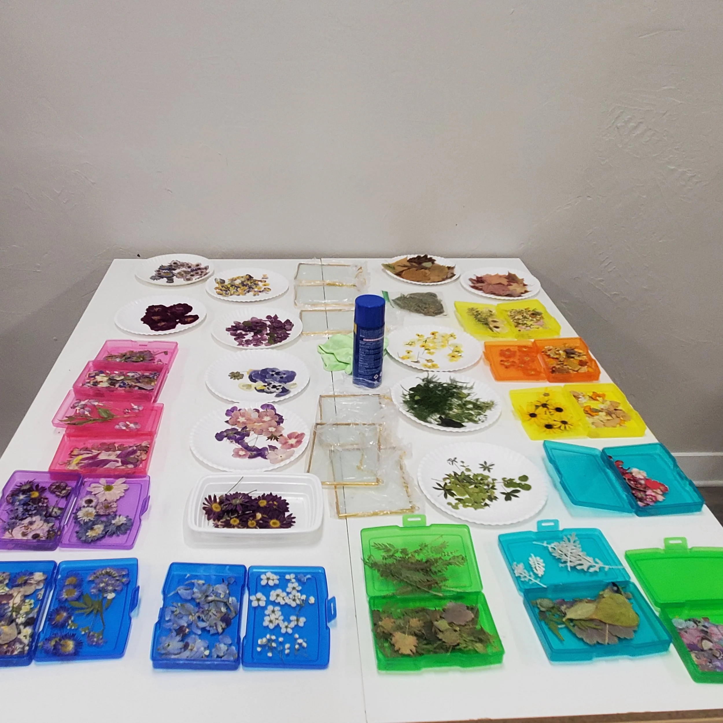 pressed flower bar.jpg