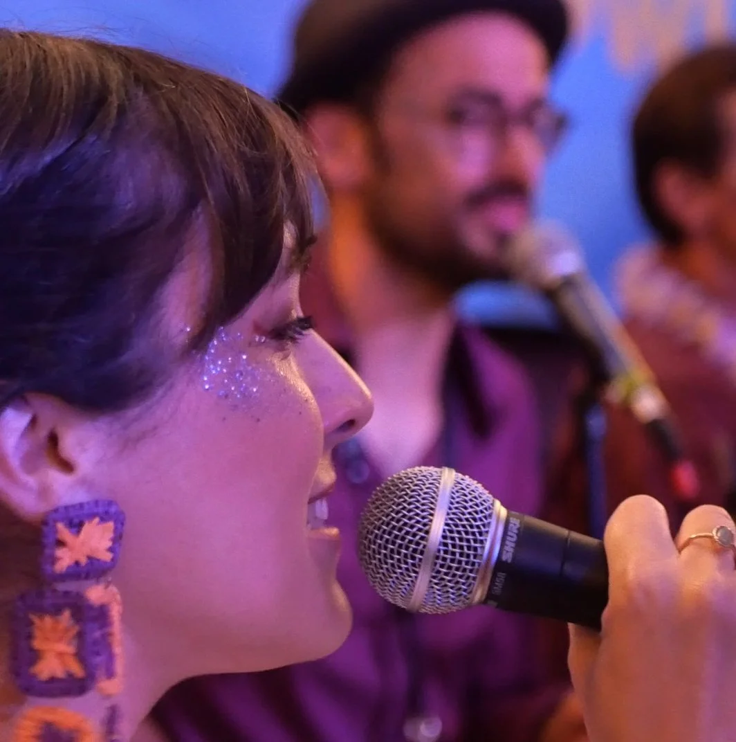 photo d'une chanteuse en concert