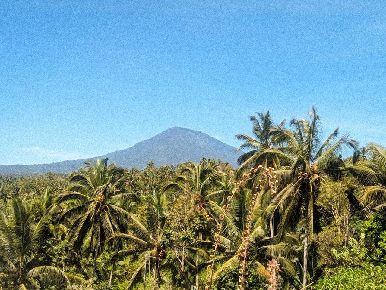 Puri-Dajuma-Terrace-Eco-Lodge-Spa-Bali-View-from-shala-Batukaru-volcano-1030x776.jpg