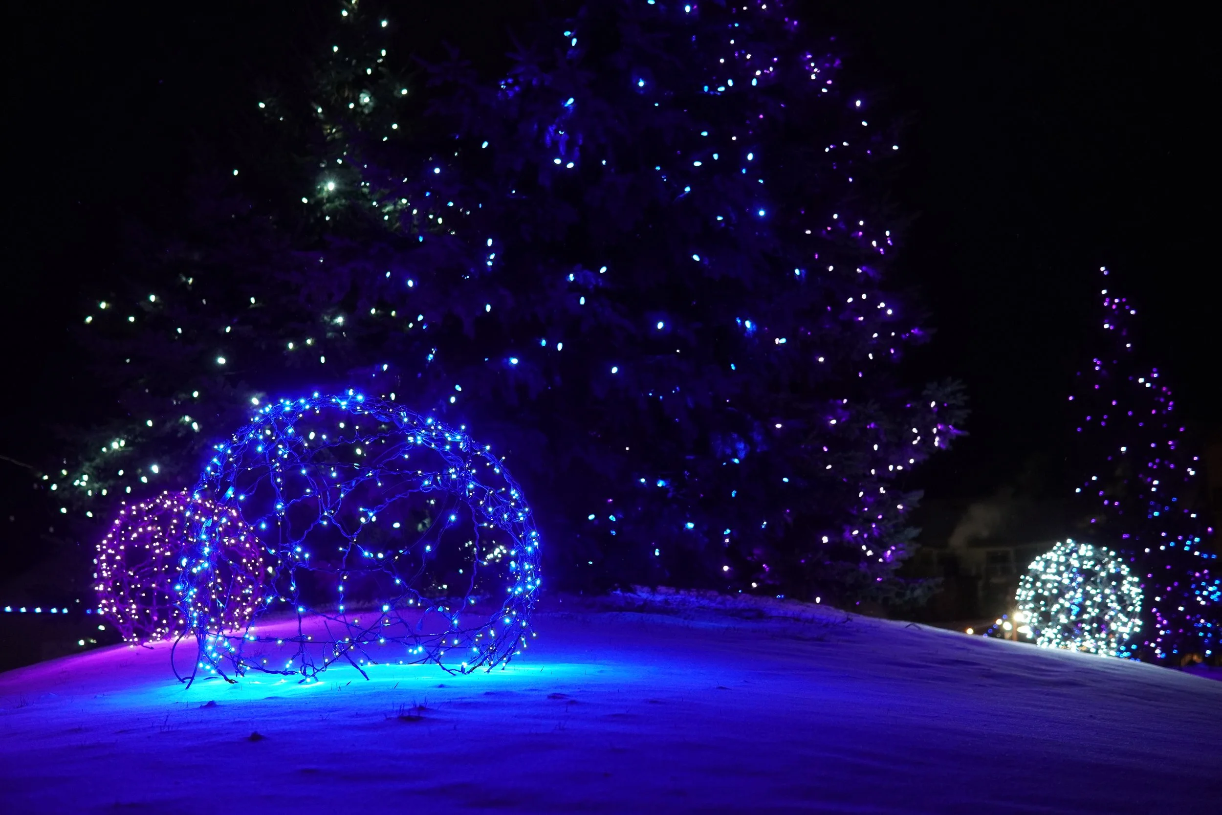 Night scene of snow-covered ground with decorated trees and spherical light displays in blue, purple, and white lights.