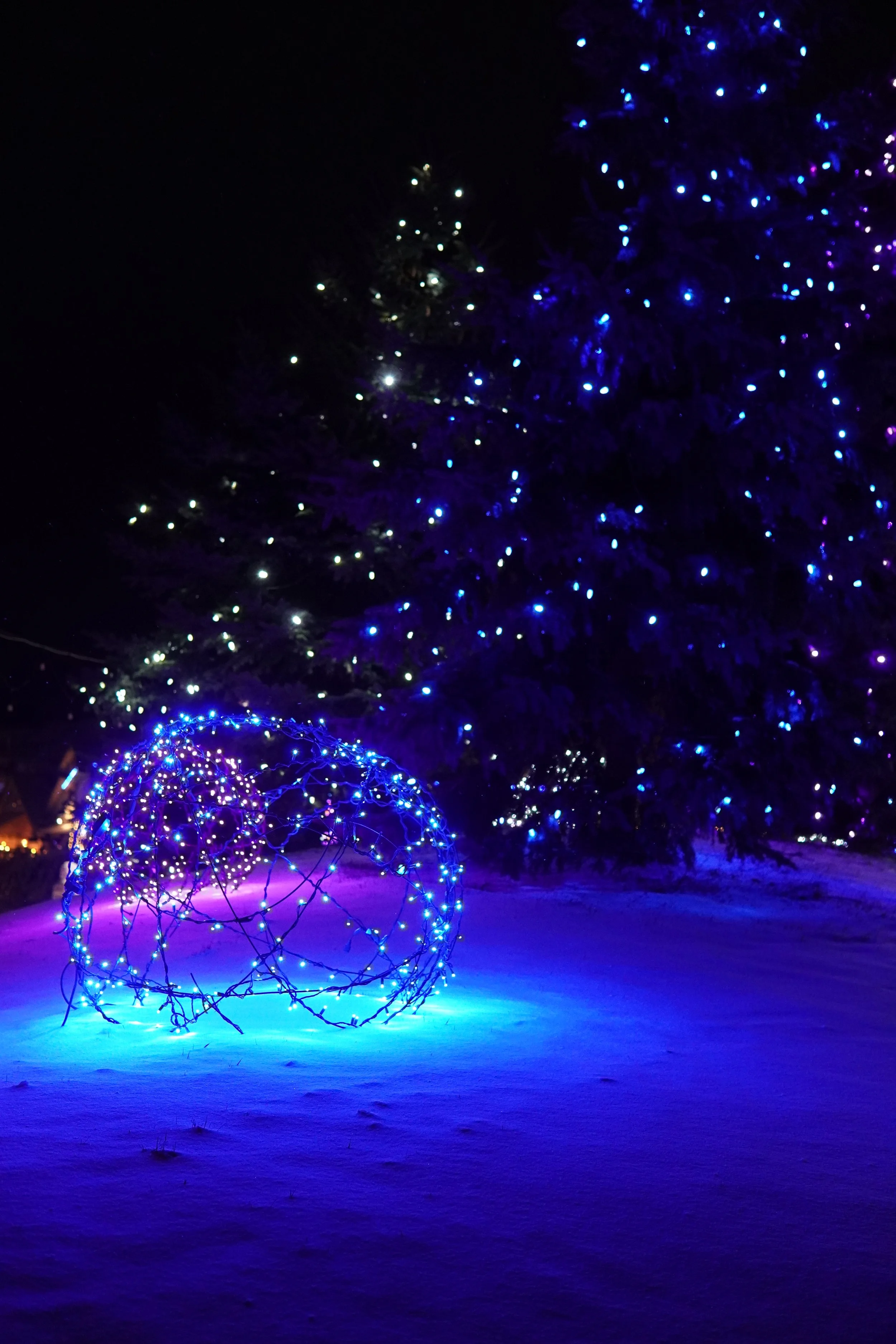 Nighttime scene featuring trees decorated with blue and white holiday lights, and a spherical wireframe ornament illuminated with blue lights on snow-covered ground.
