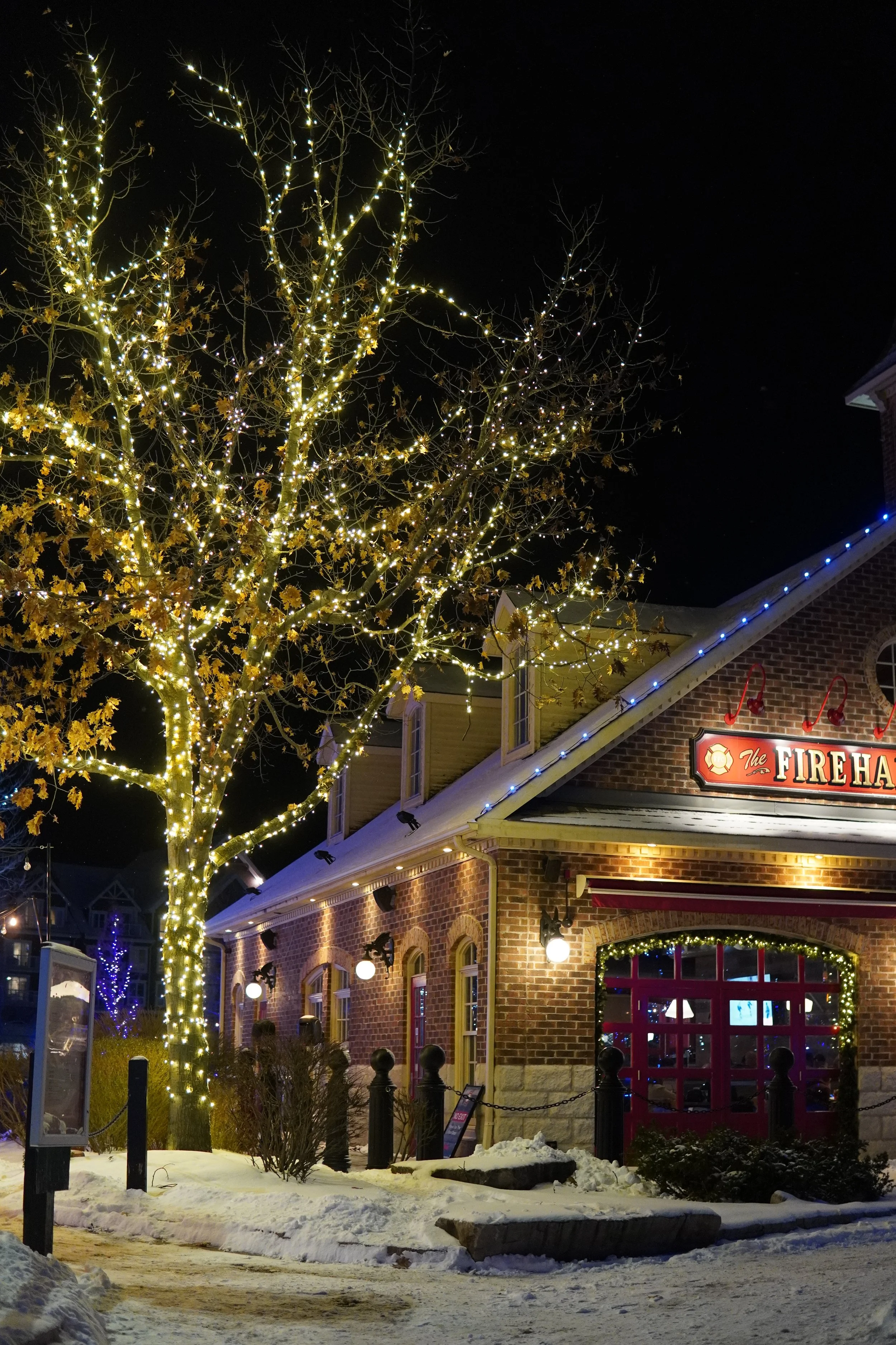 Nighttime exterior view of a brick building decorated with string lights, including a lit tree in the foreground and snow on the ground.