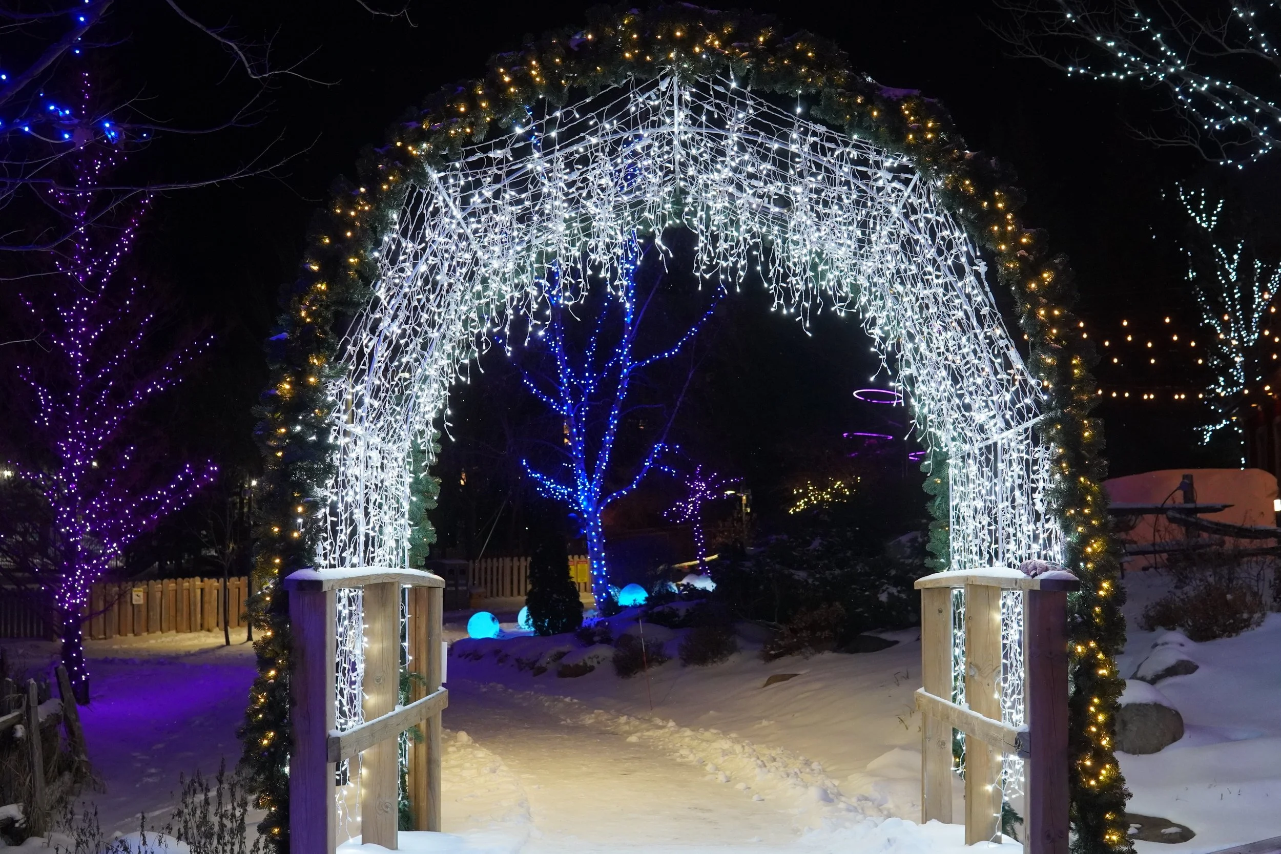 Christmas holiday light display with an arch made of white lights and decorated with green foliage and small yellow lights. The background features snow-covered ground, leafless trees adorned with purple and blue lights, and glowing blue orbs.