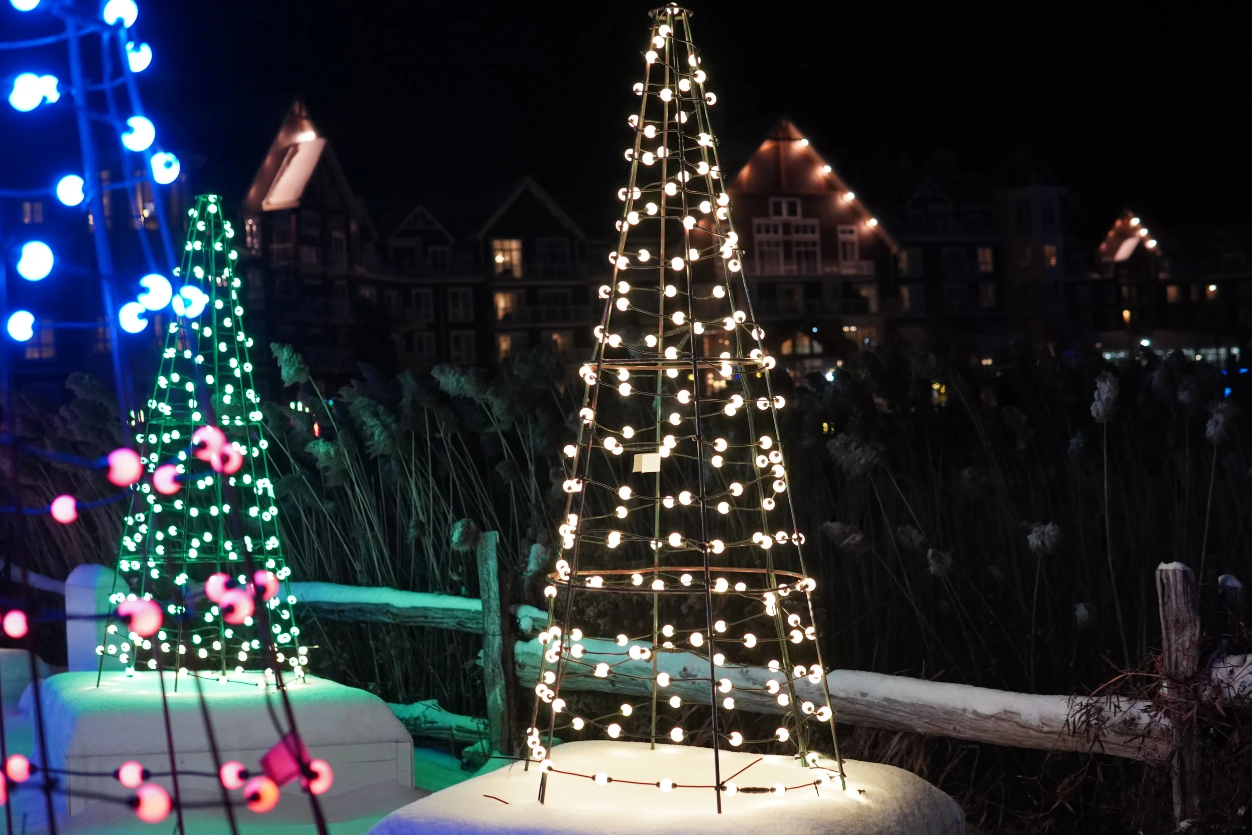 Christmas lights shaped like trees decorated with white, green, blue, and red bulbs, set in a snowy outdoor area at night with houses in the background.