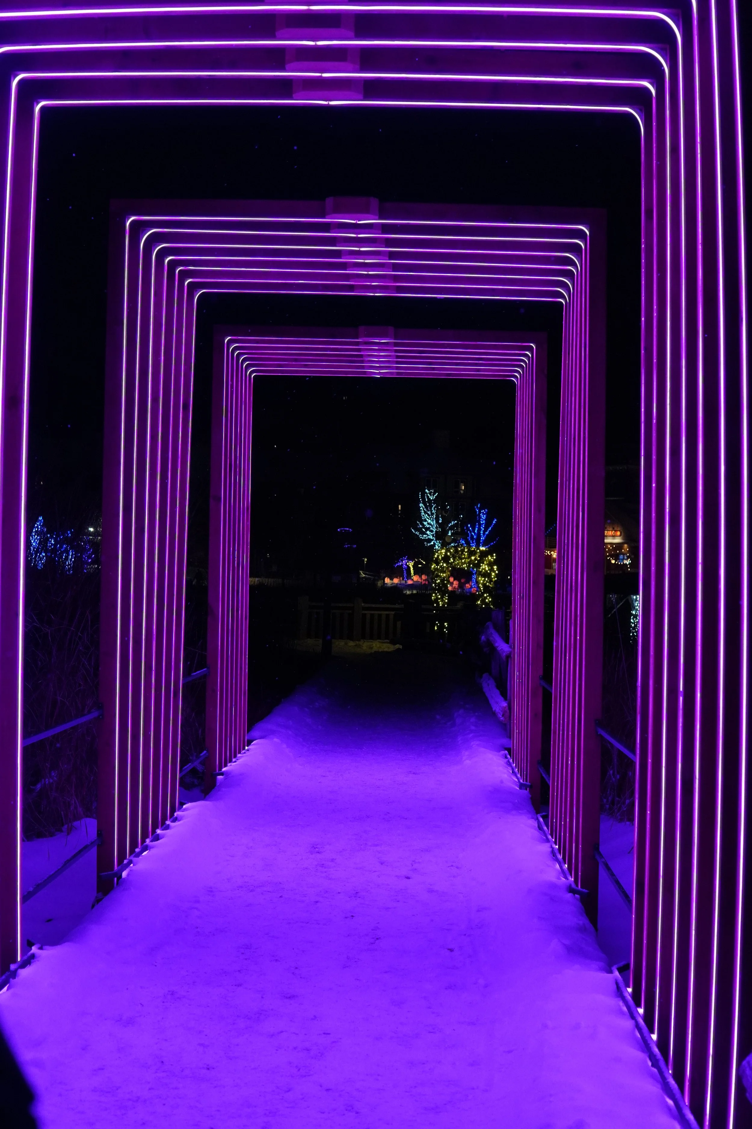 A pathway illuminated by purple neon lights forming rectangular arches at night, with snow on the ground and decorated trees with colorful lights in the background.