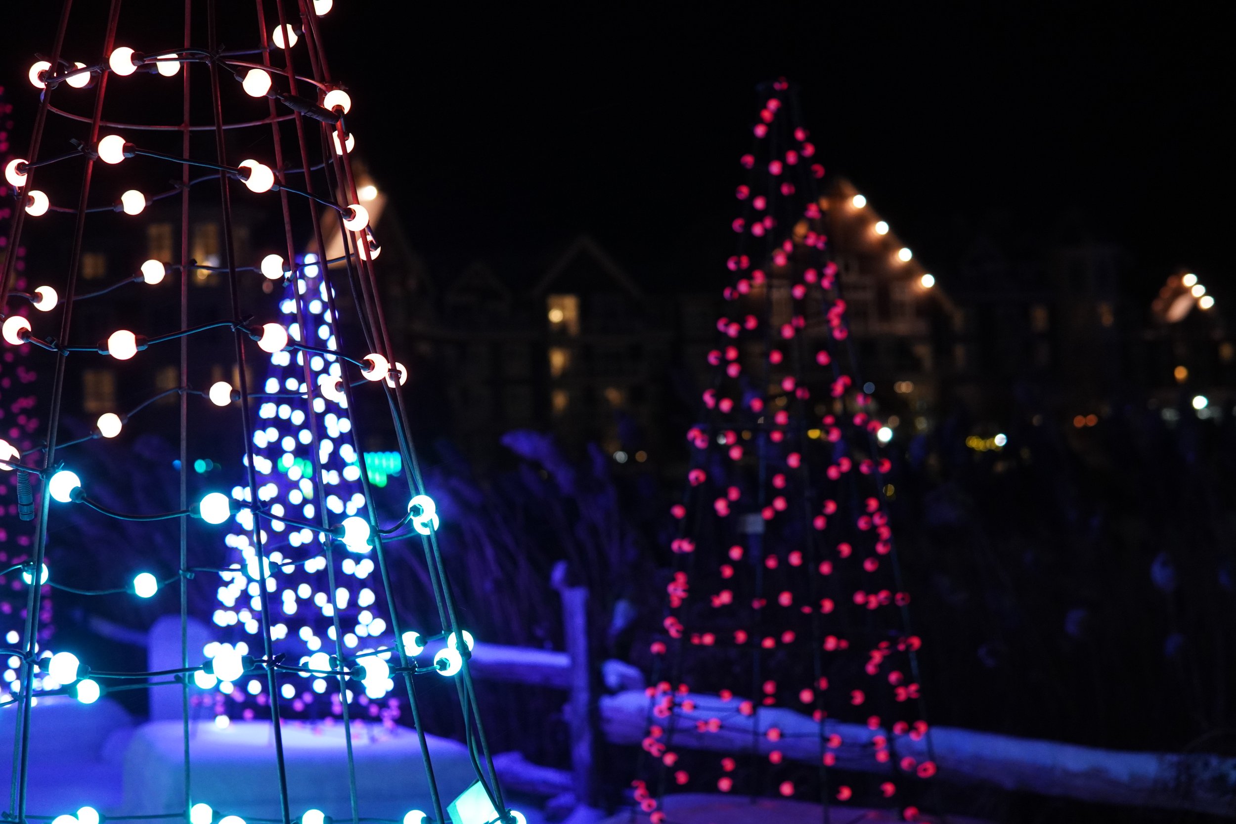 Christmas lights decorations at night with illuminated trees and structures.