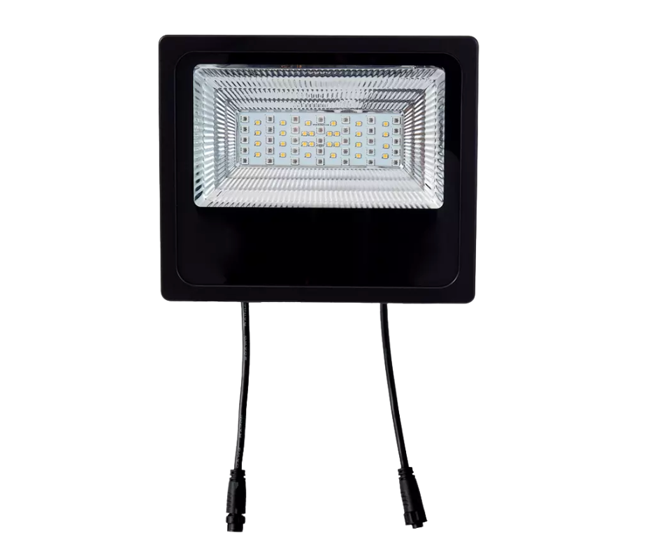 F50W Floodlight  RGBW IP66