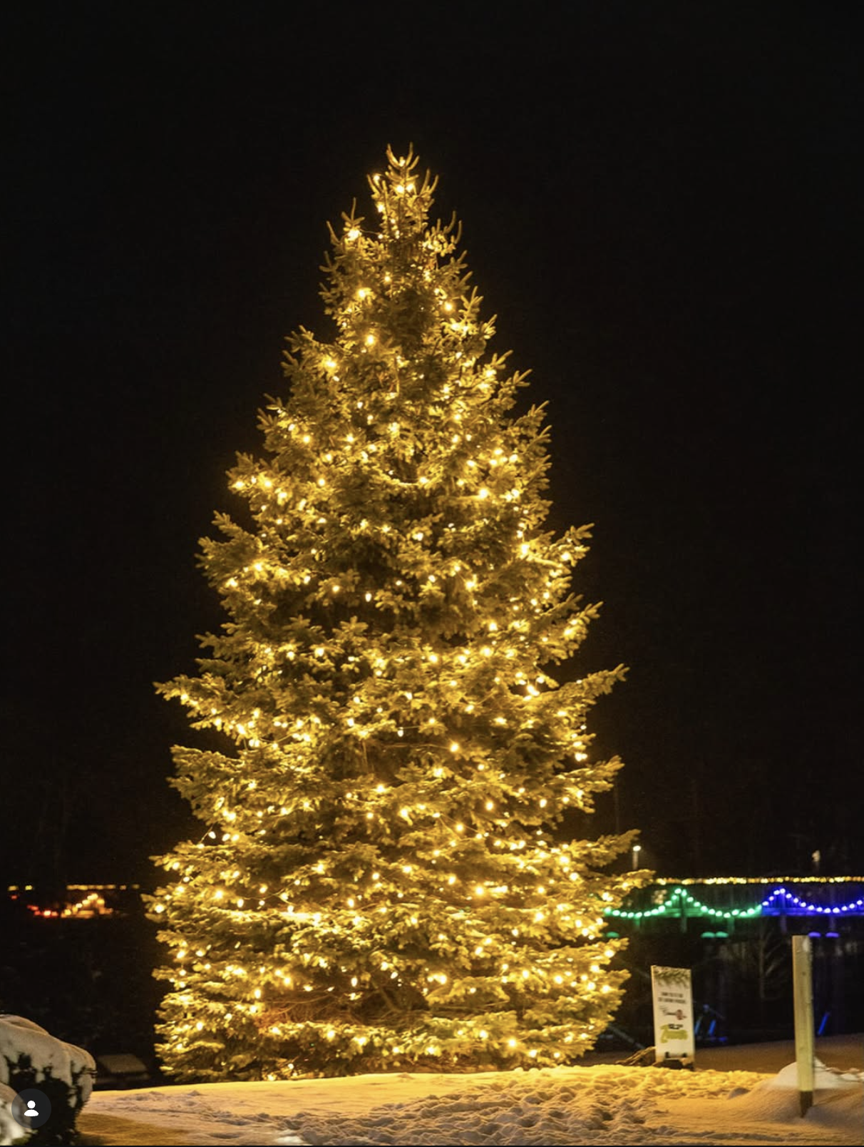 Christmas tree decorated with yellow lights at night, surrounded by snow.