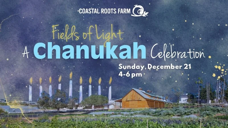 Chanukah at Coastal Roots Farm 
