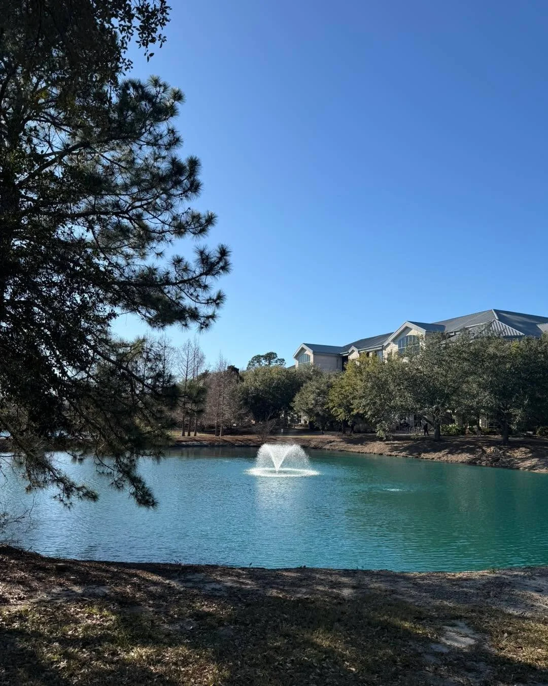 Happy first day of the semester for southern_oboes! I made sure to get in a walk between obligations today and really do love GSU&rsquo;s campus. We got off on the right foot this semester with new reeds (and getting rid of the oldies), new rep choic