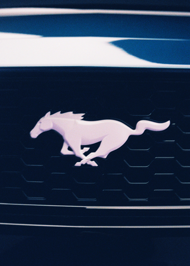 SeanWehrli_MustangFX_05.gif