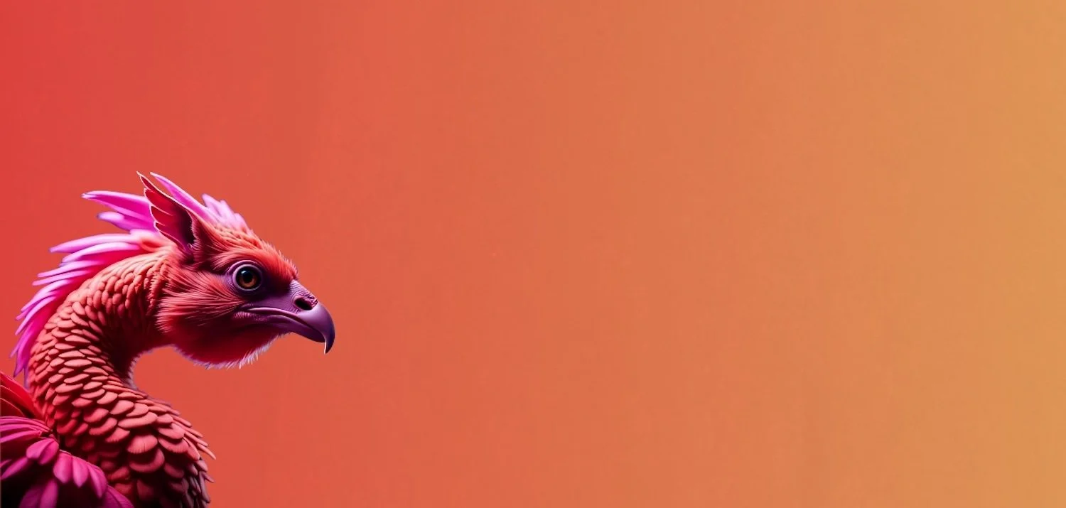 PHNX: The Award Show Built for Everyone Else