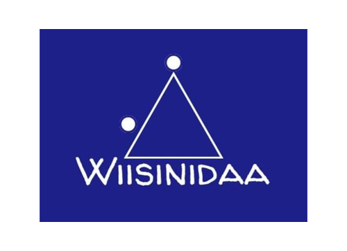 Wiisinidaa